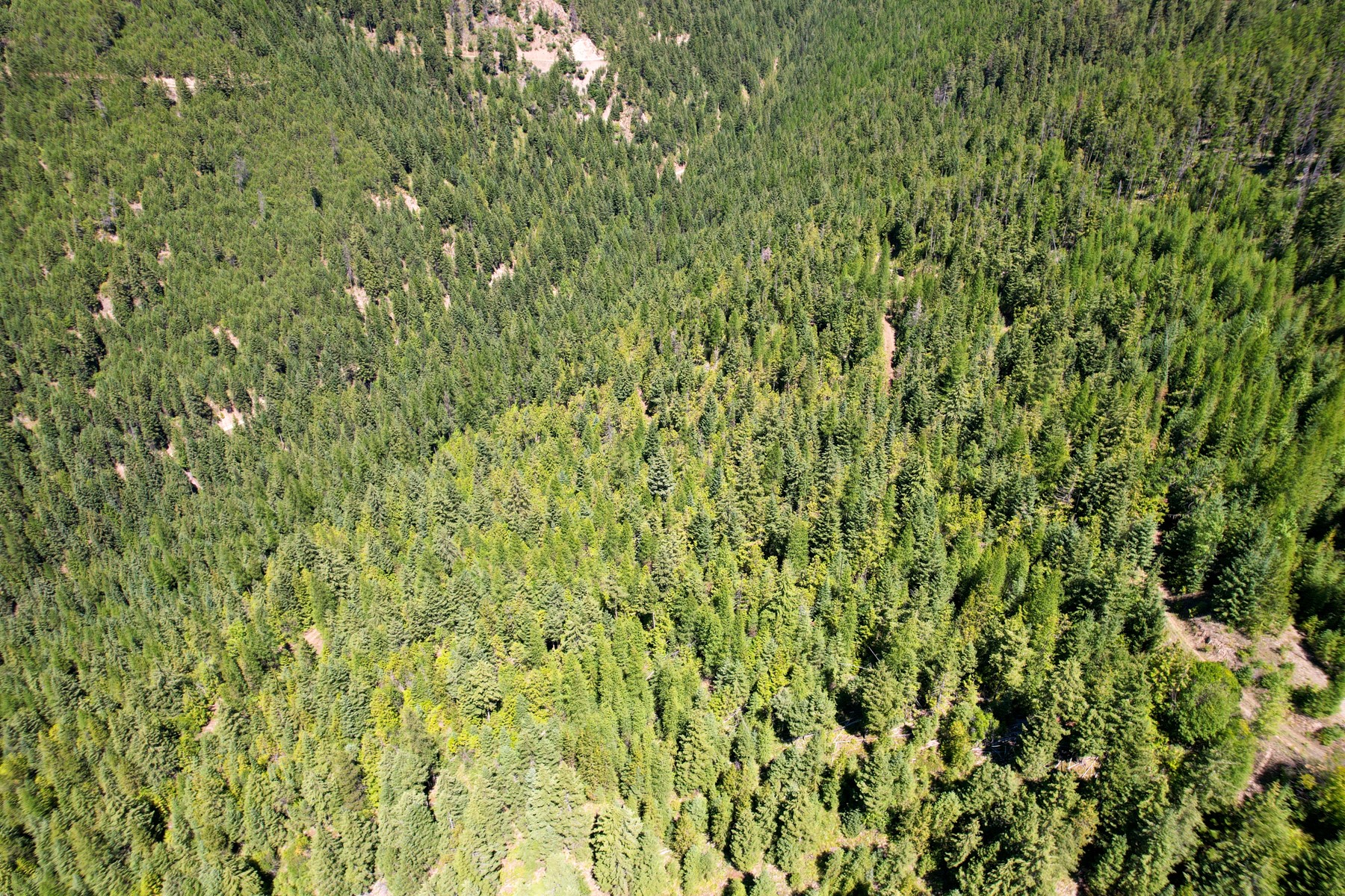 Tract 2 Pardee Flat Road