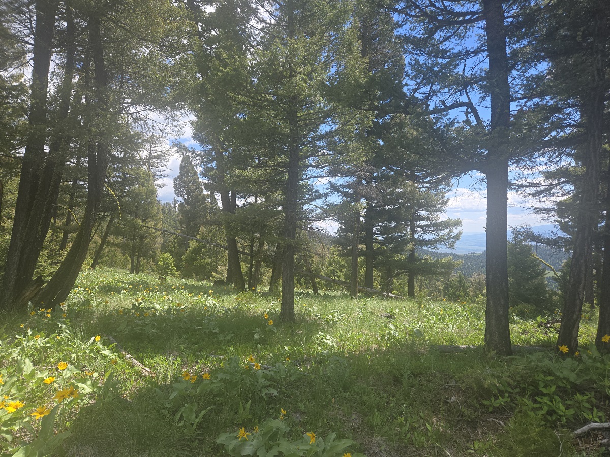 2 Big Sky Ridge Road
