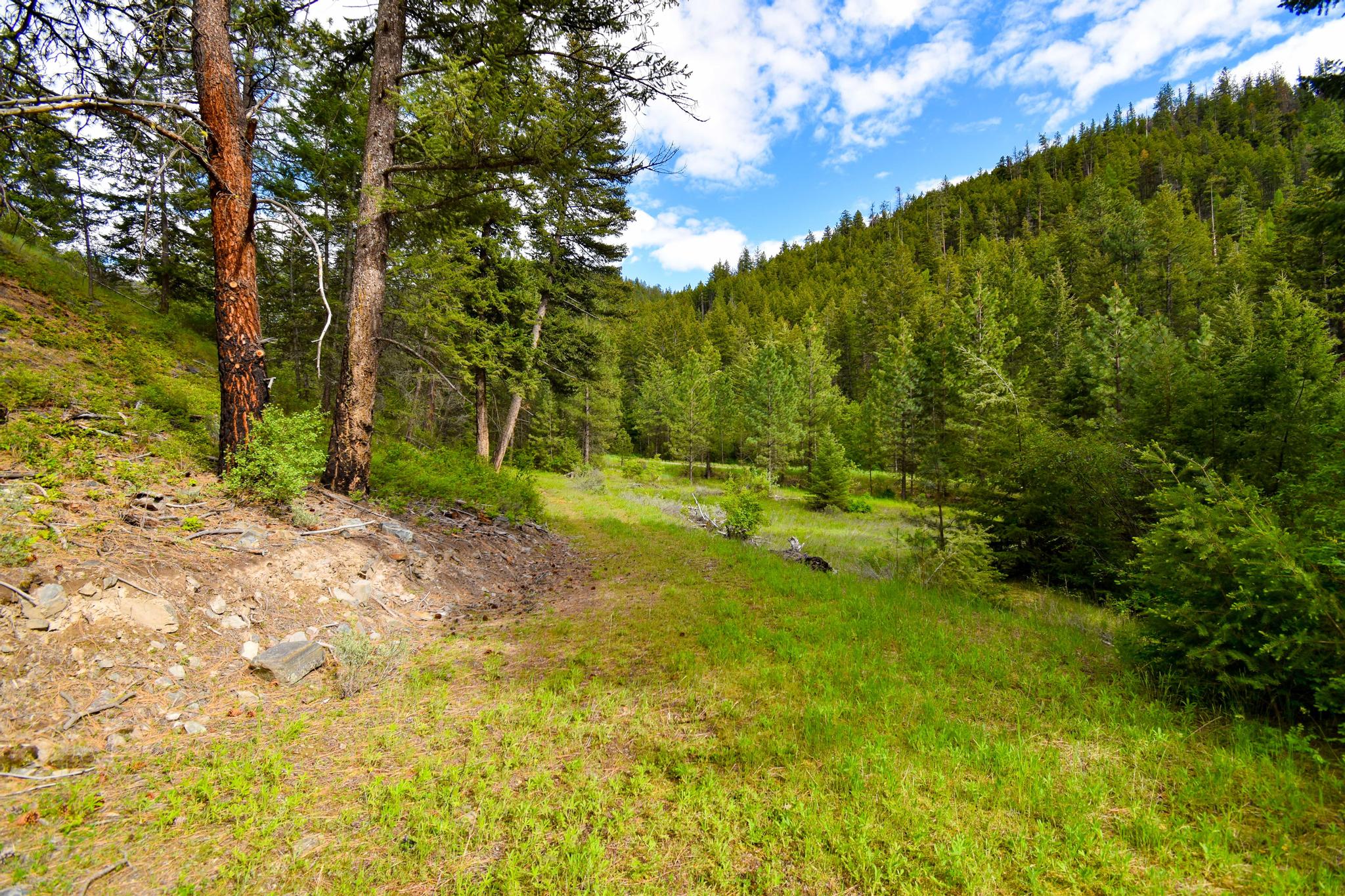 Tract 1 Henry Creek Road