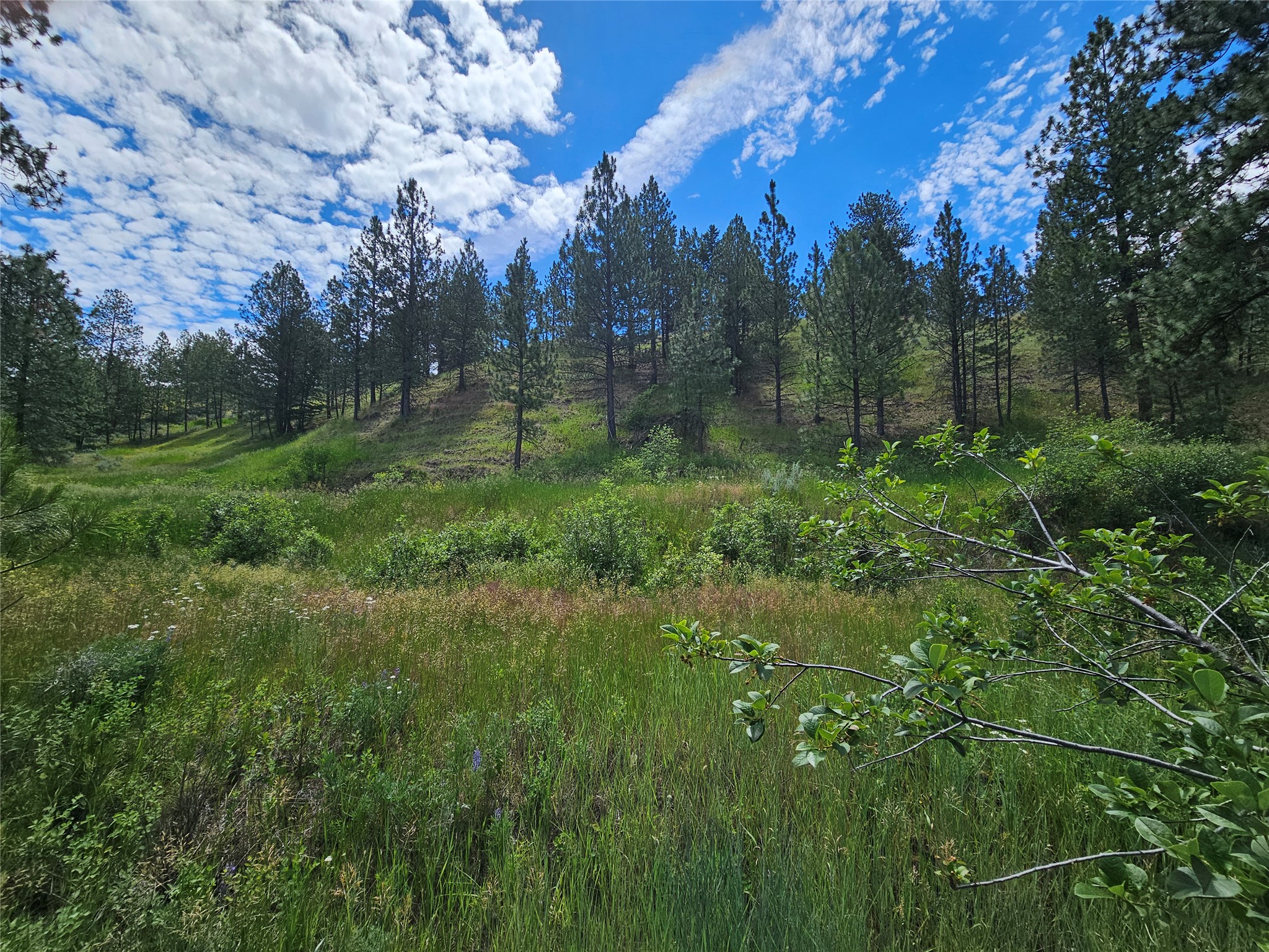 569 Creek Hollow Way