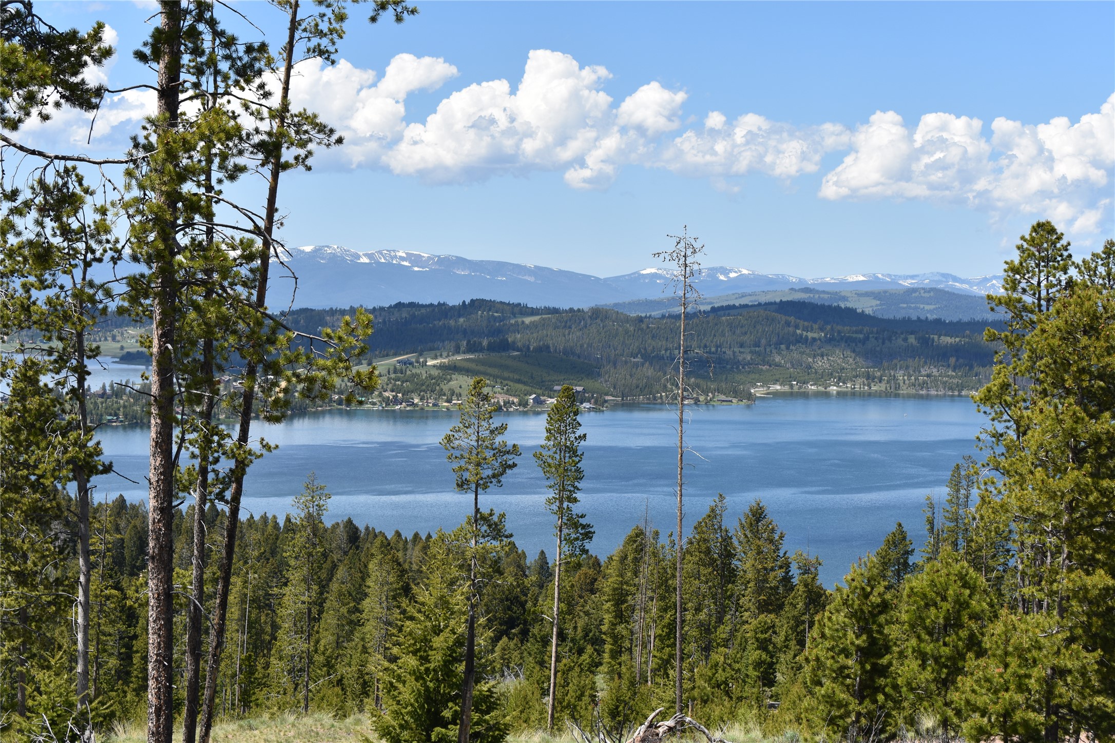 16 Mule Deer Lane