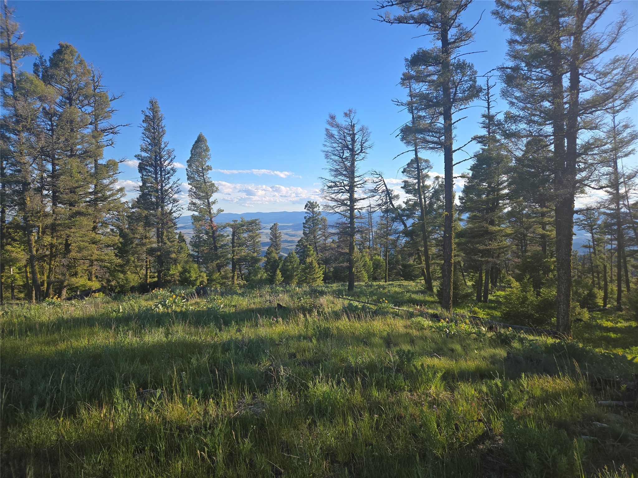1 Big Sky Ridge Road