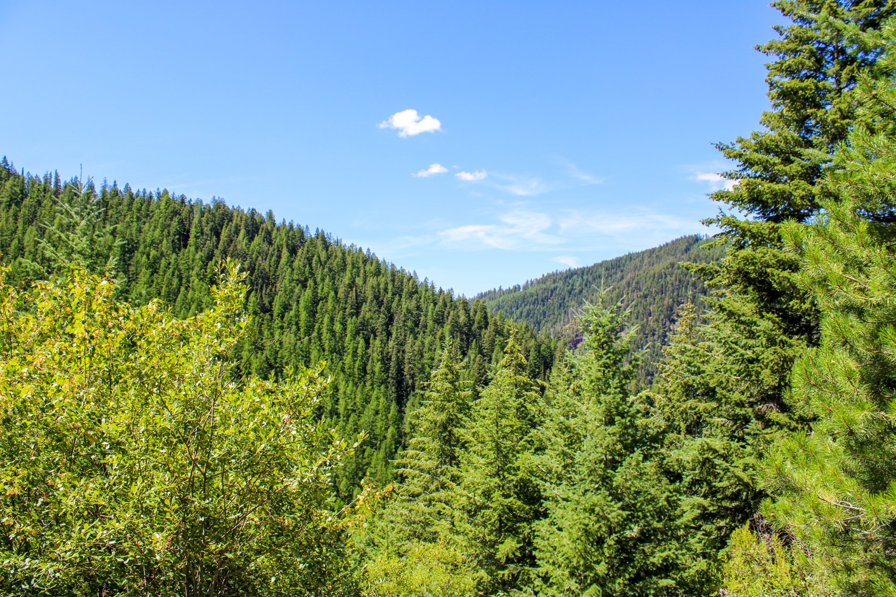 Tract 1 Pardee Flat Road