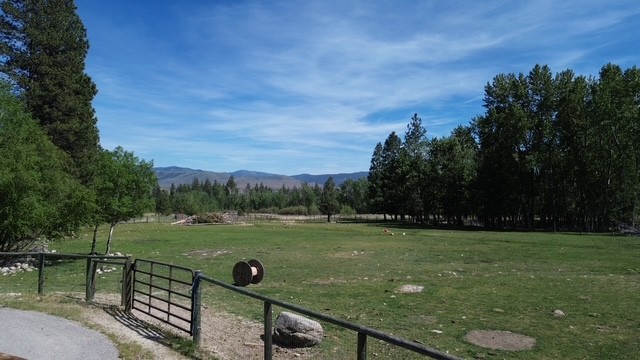 990 Timber Point Lane