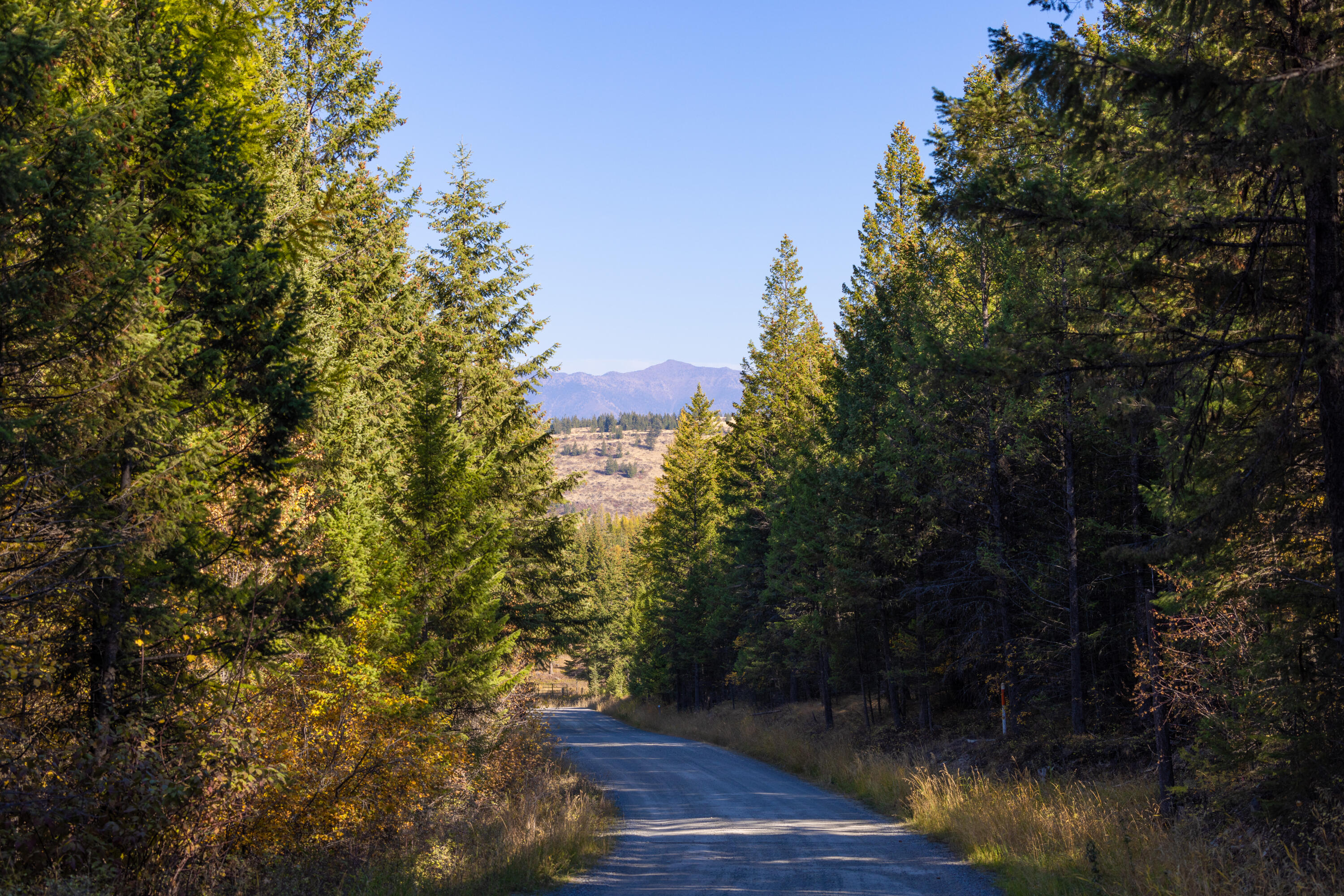 Nhn Gut Creek Road