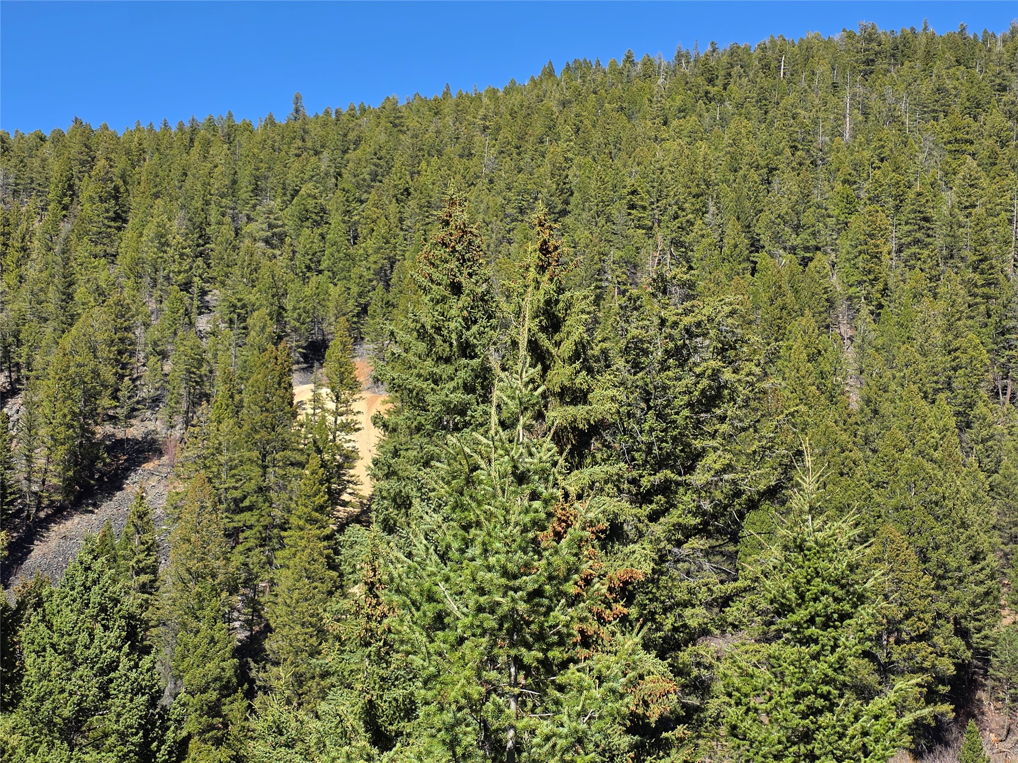 TBD Little Blackfoot Rvr Little Blackfoot River Road