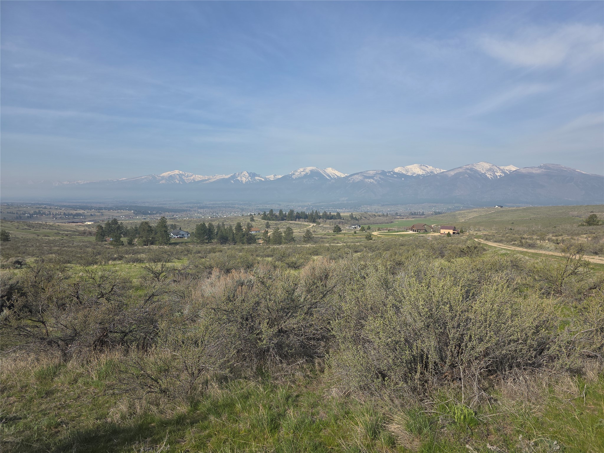 Nhn Paso Fino Trail