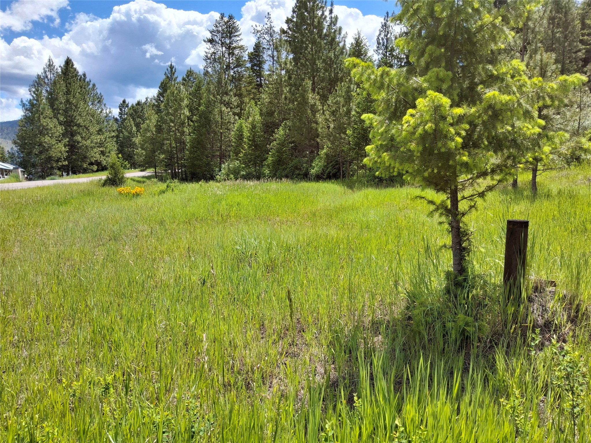 Lot 5 Tami Drive E