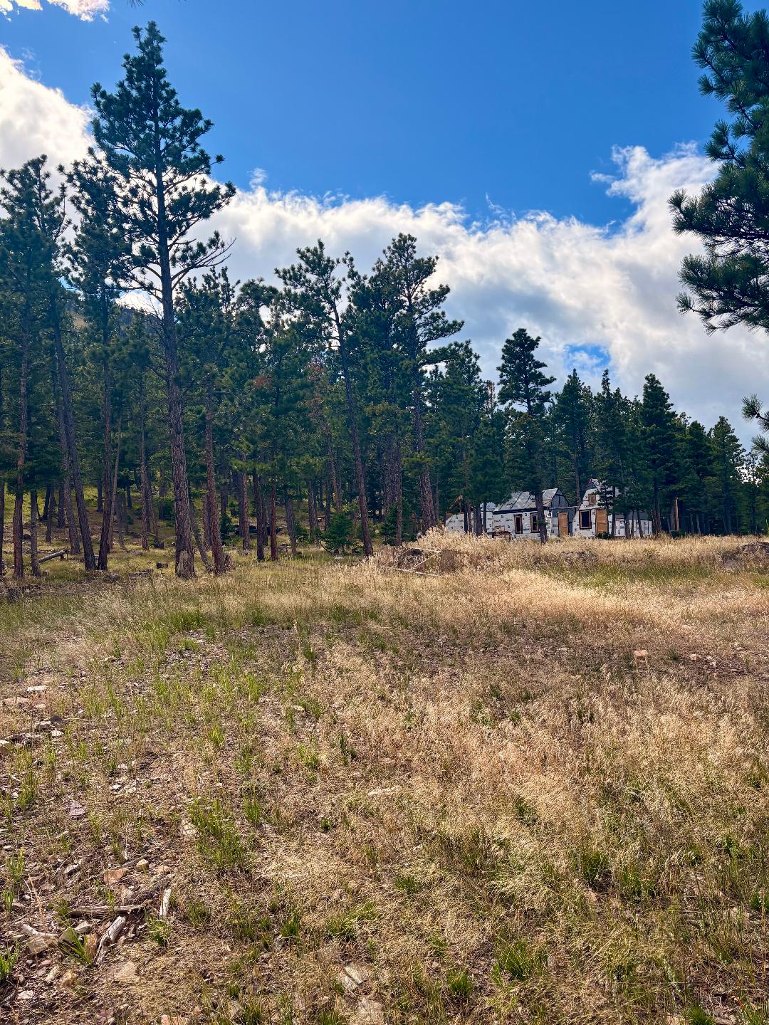 4535 Little Wolf Creek Road