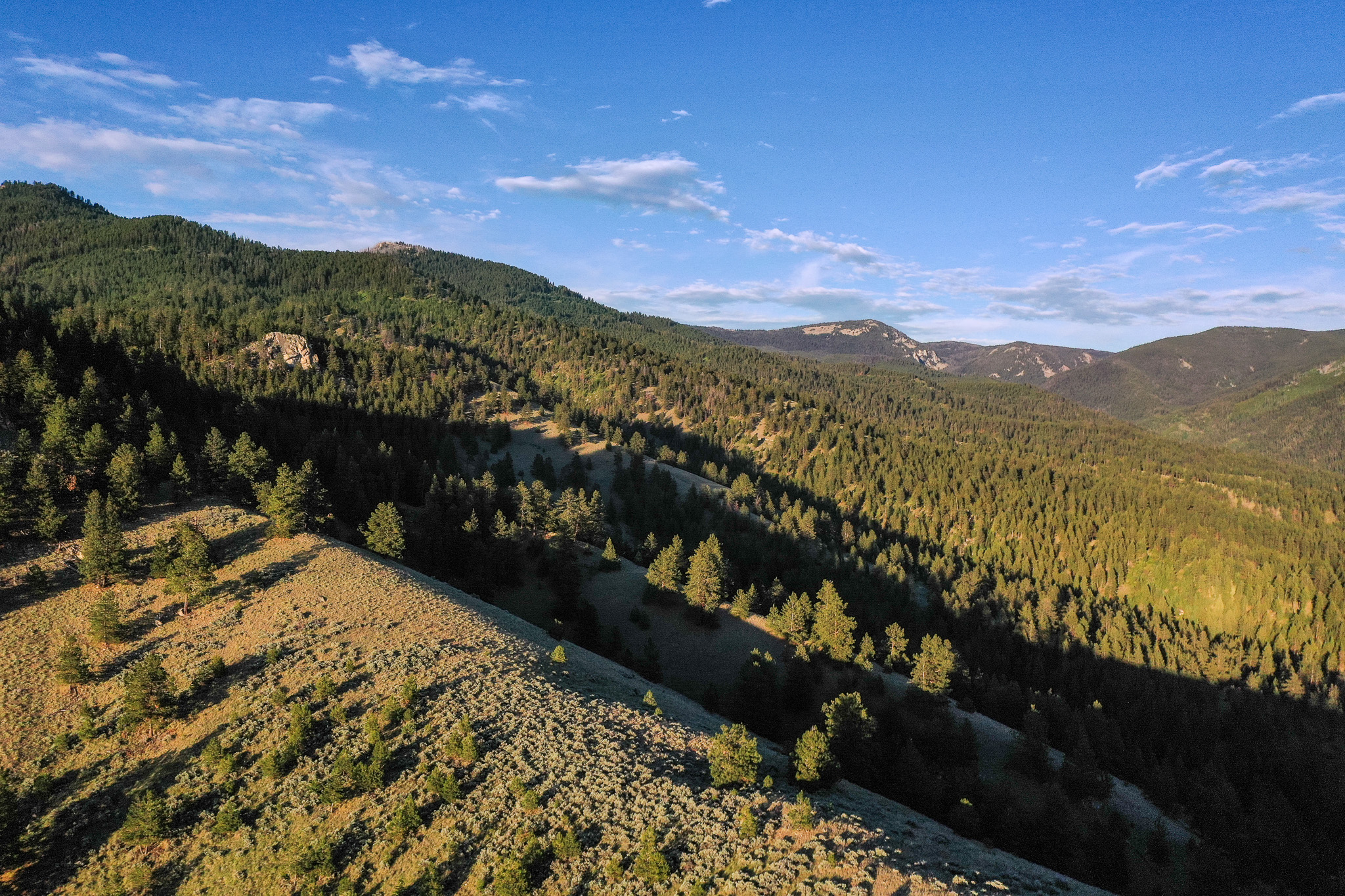 Bitterroot Highlands at Willow Creek - NHN Willow Creek Rd