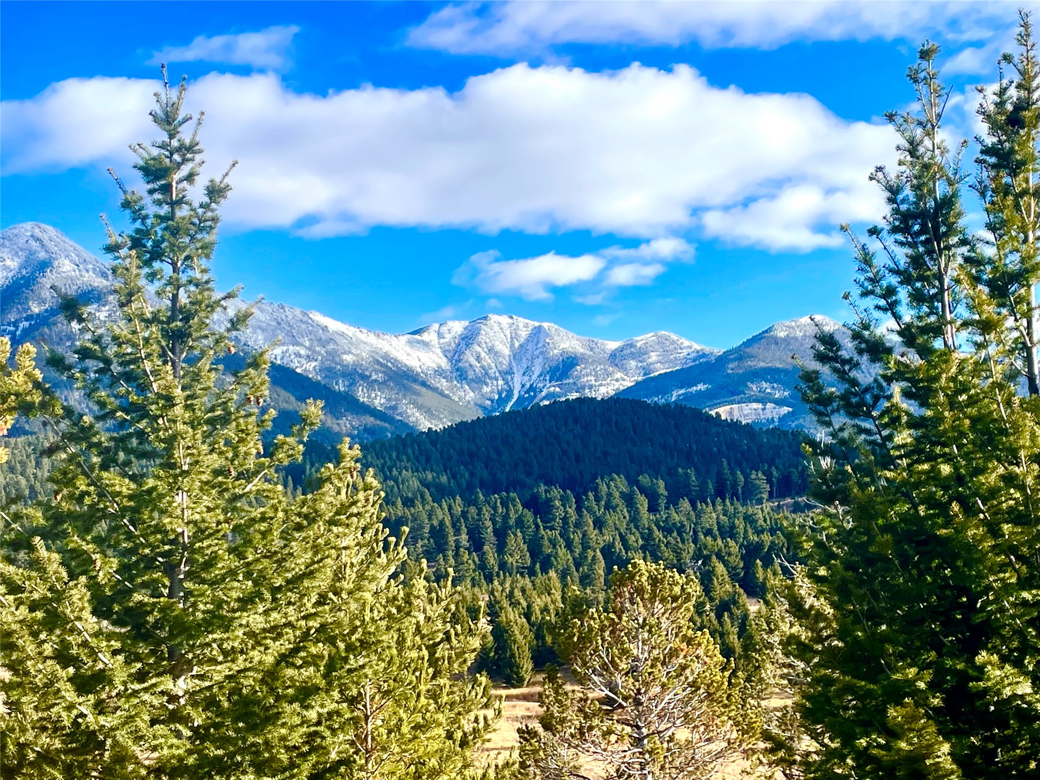 TBD Livingston Peak Road