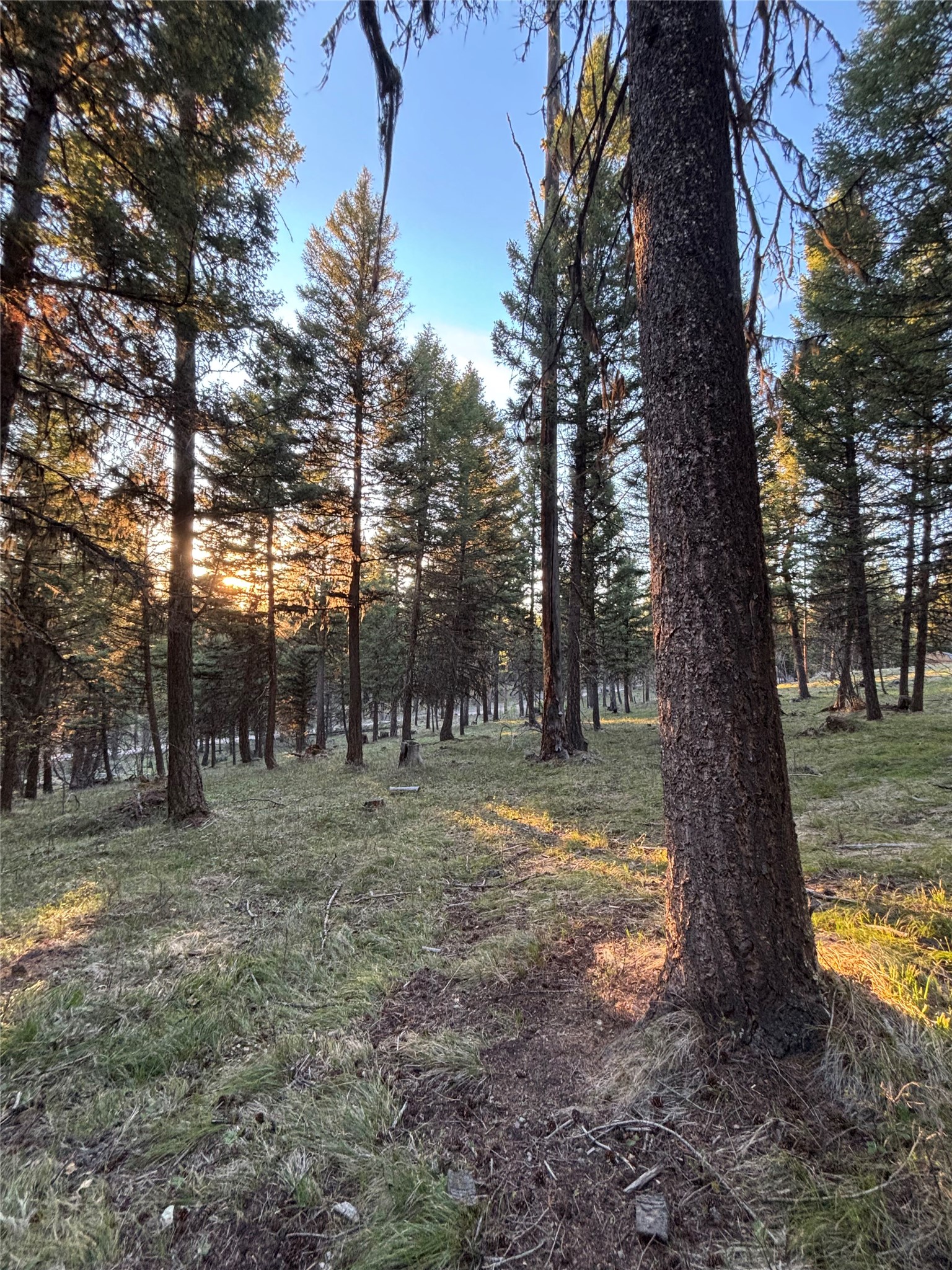 139 Montana View Drive