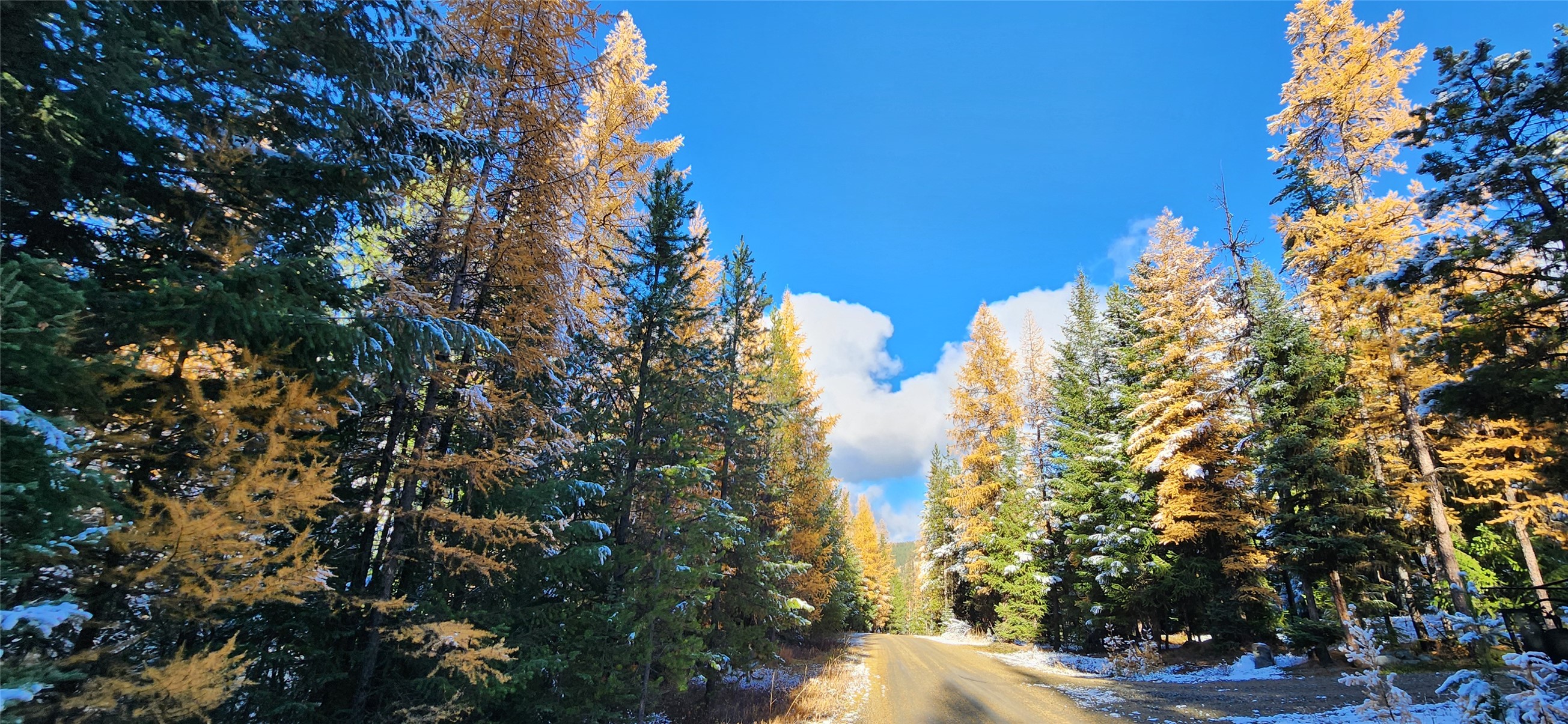 Lot 8 Tamarack Lane