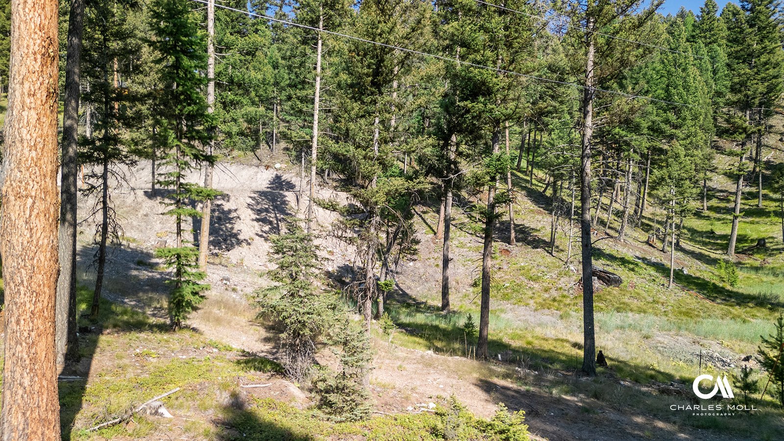 170 Leota Peak Court