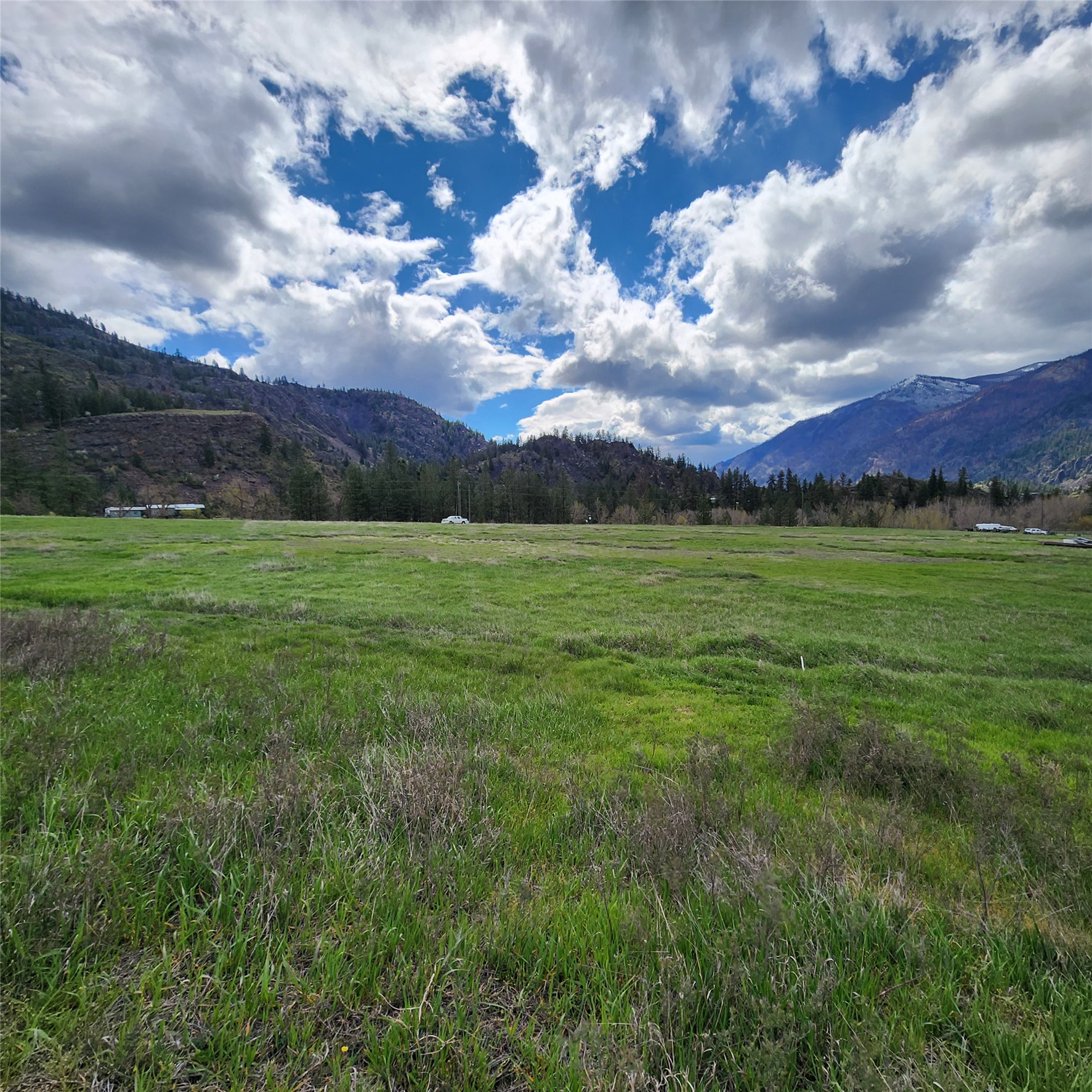 Lots 9 & 10 Henry Crk Meadows
