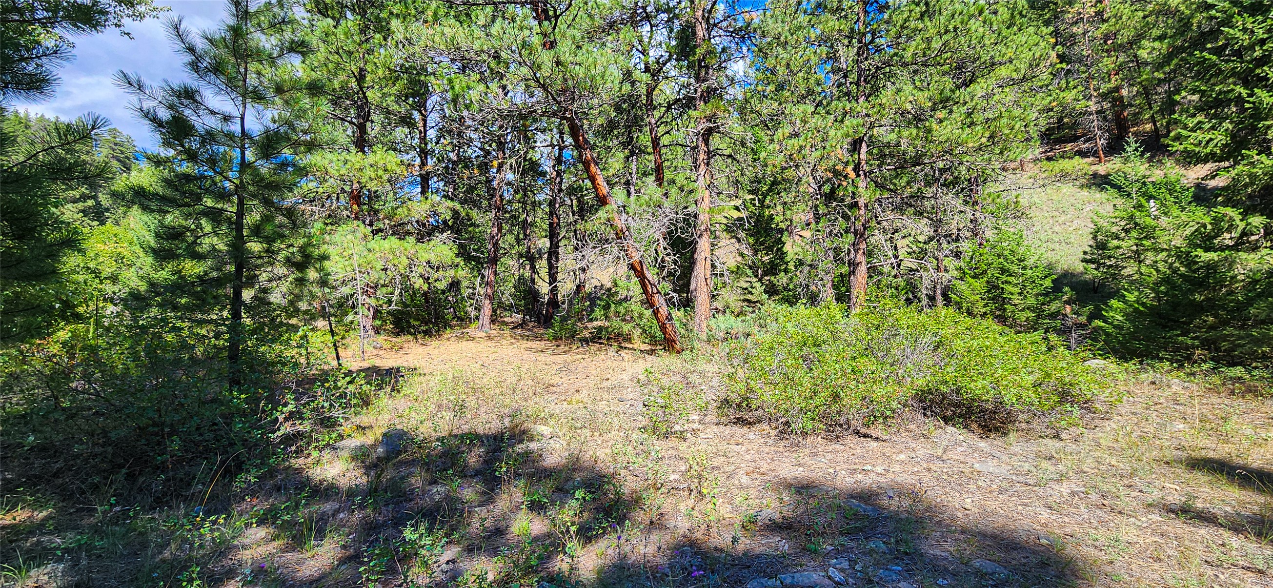 NHN Upper Sawmill Creek Lane