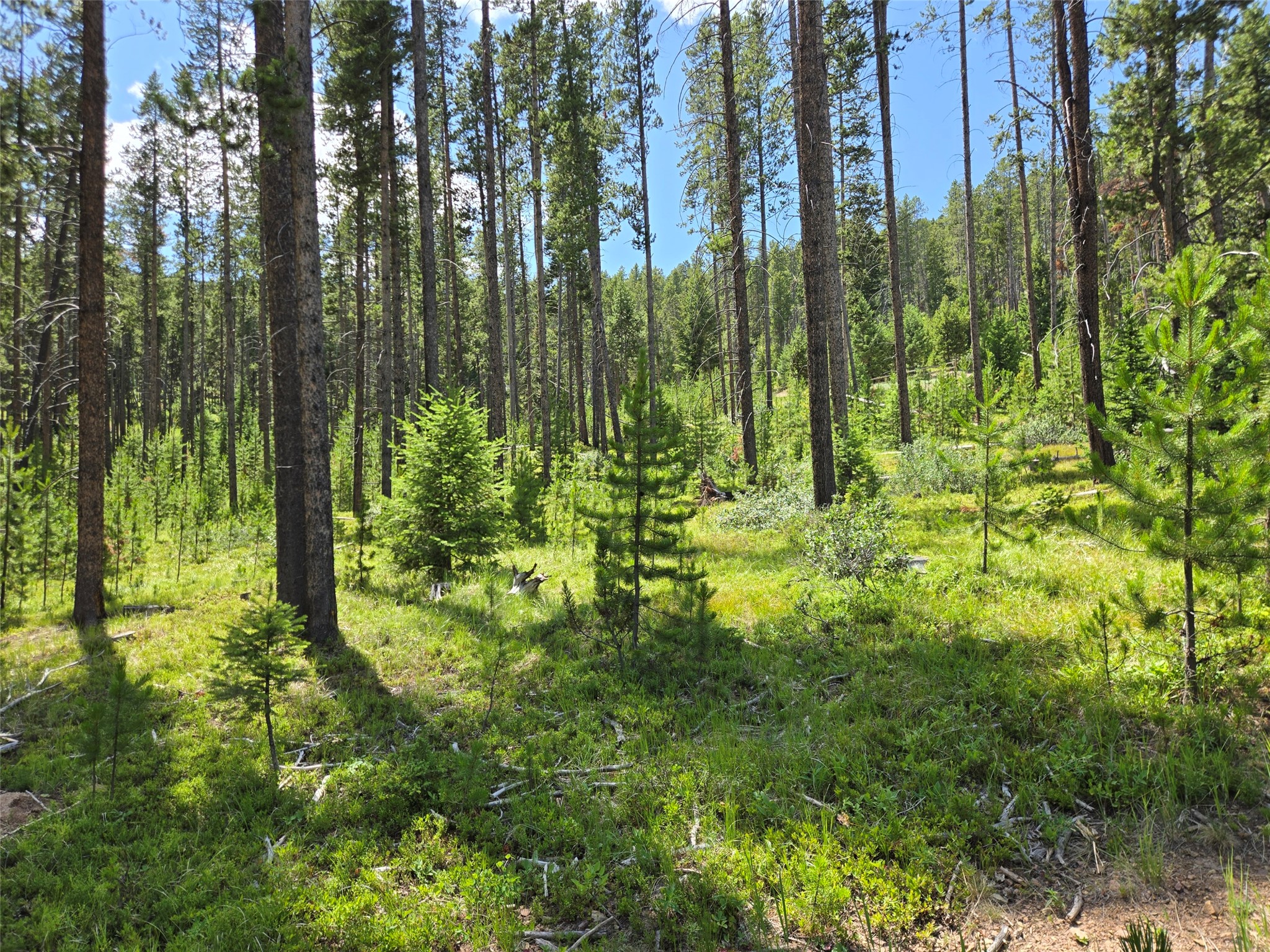 Lot 39 Shakopee Drive