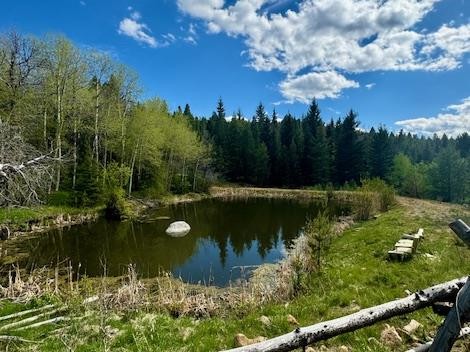 NHN Perkins Gulch Road