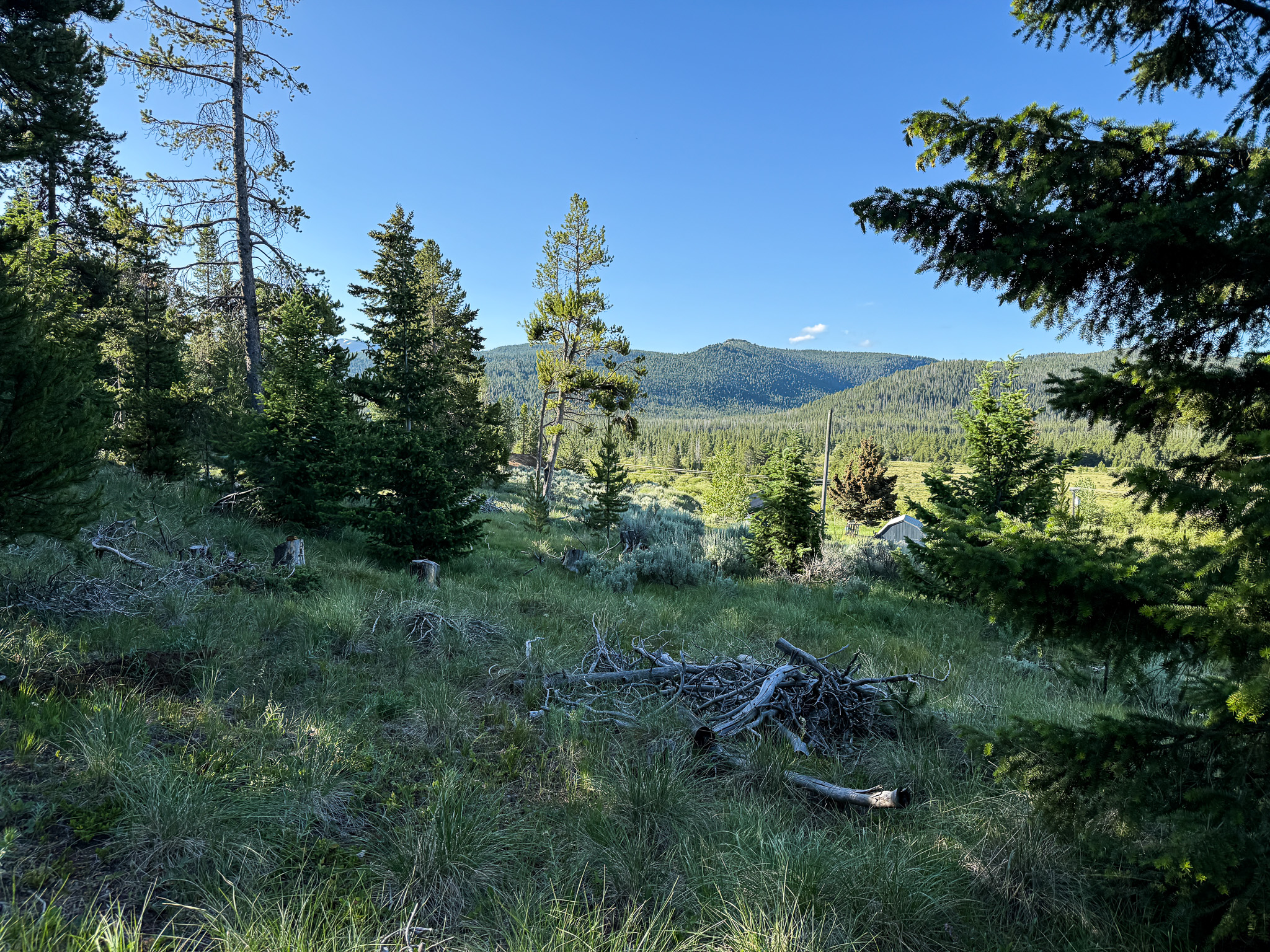 NHN (1.78+/- Acres) Sunchild Lane