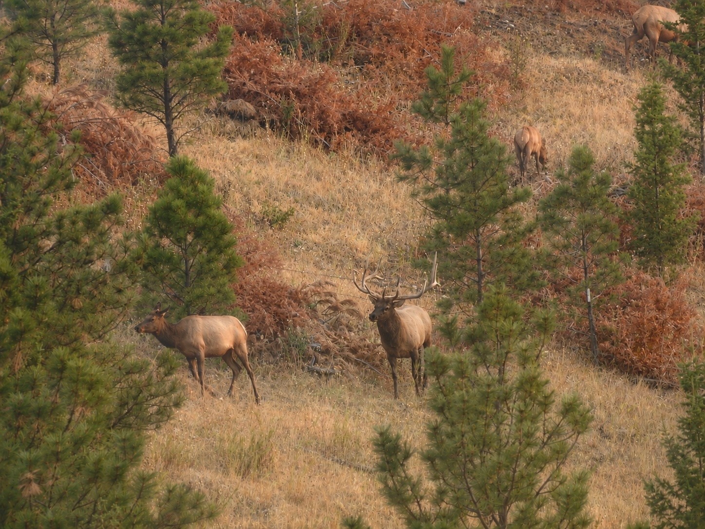 4915 W US Highway 12