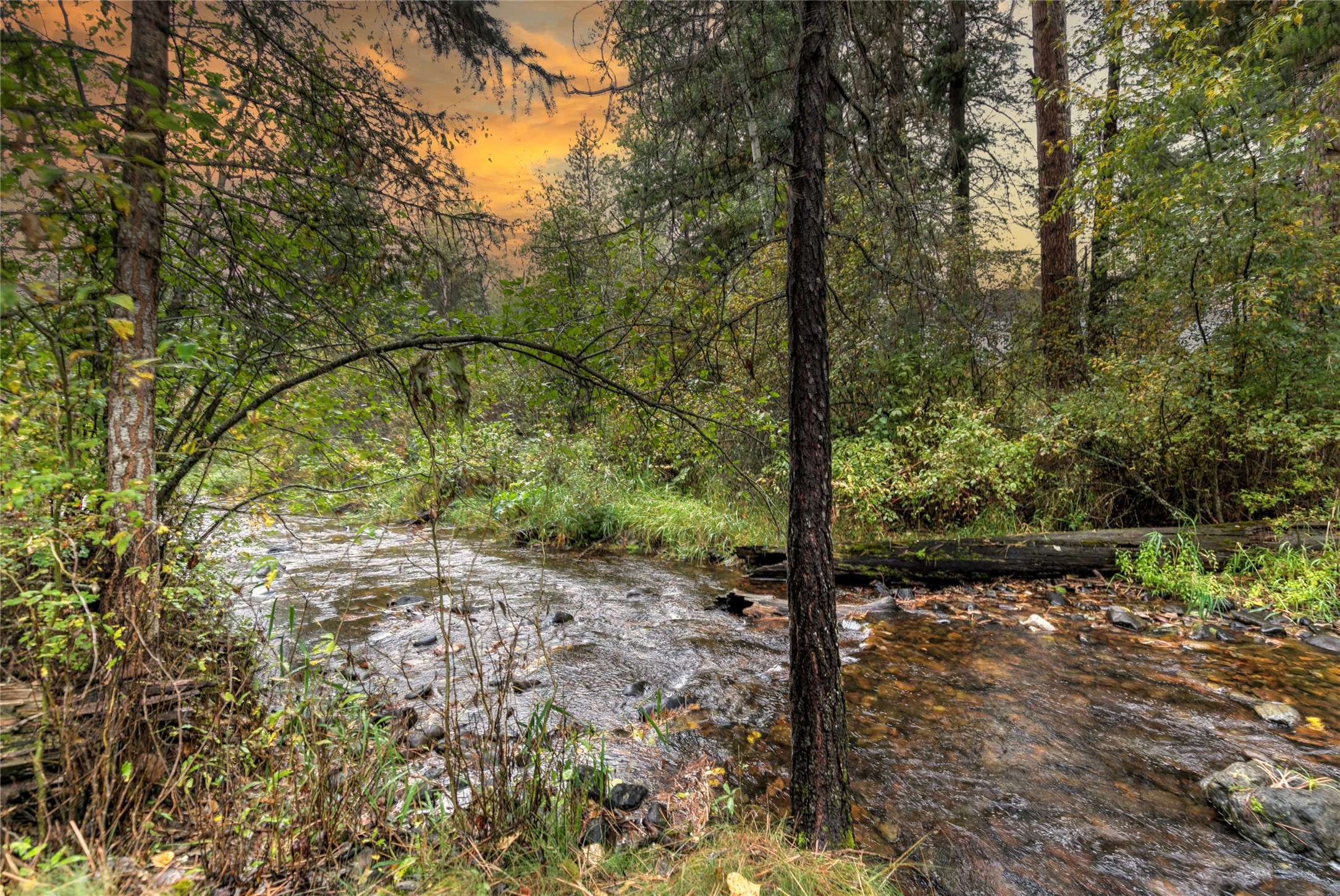 1715 Streamside Court