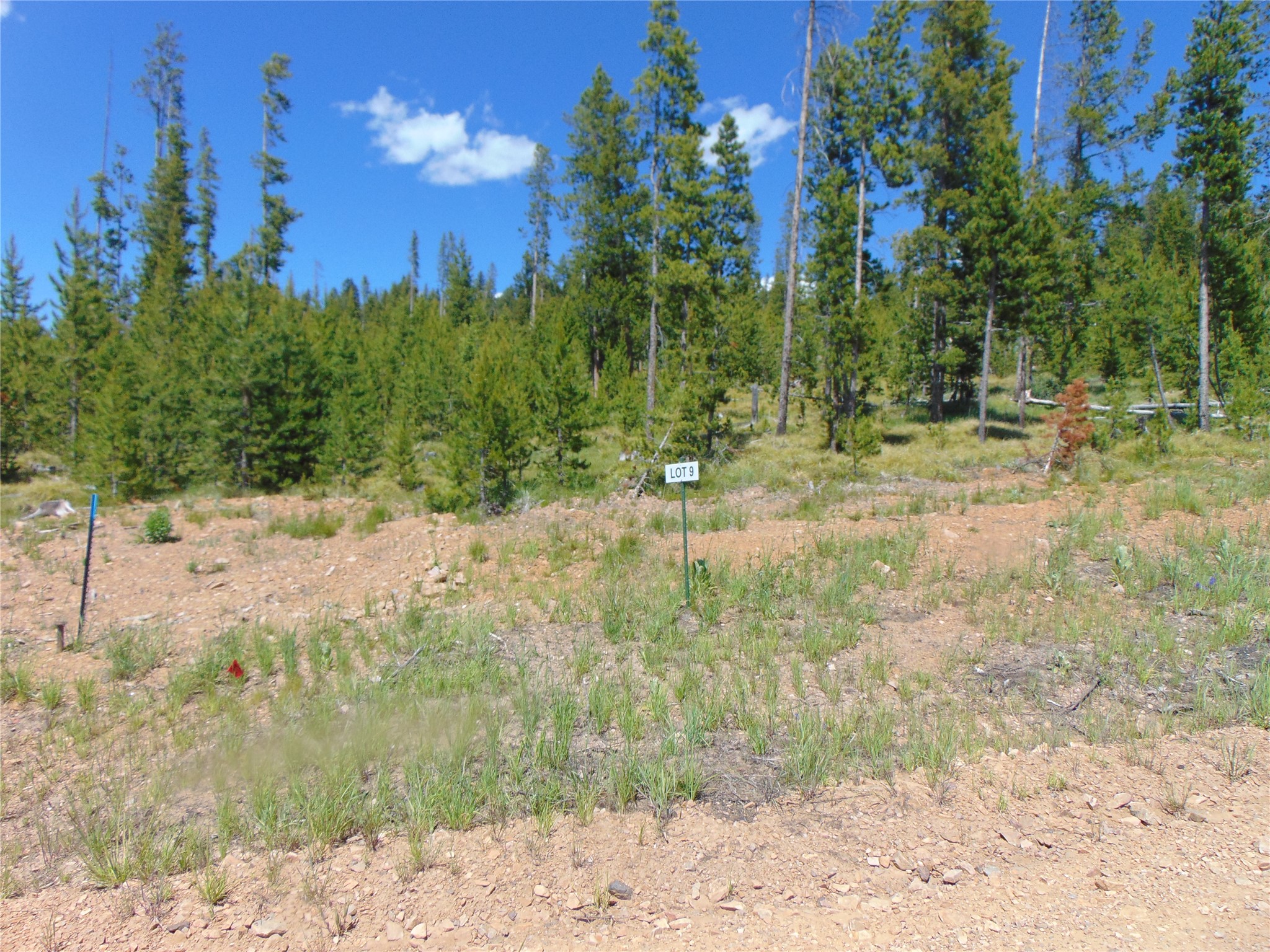 Nhn Covellite Lane Lot 9