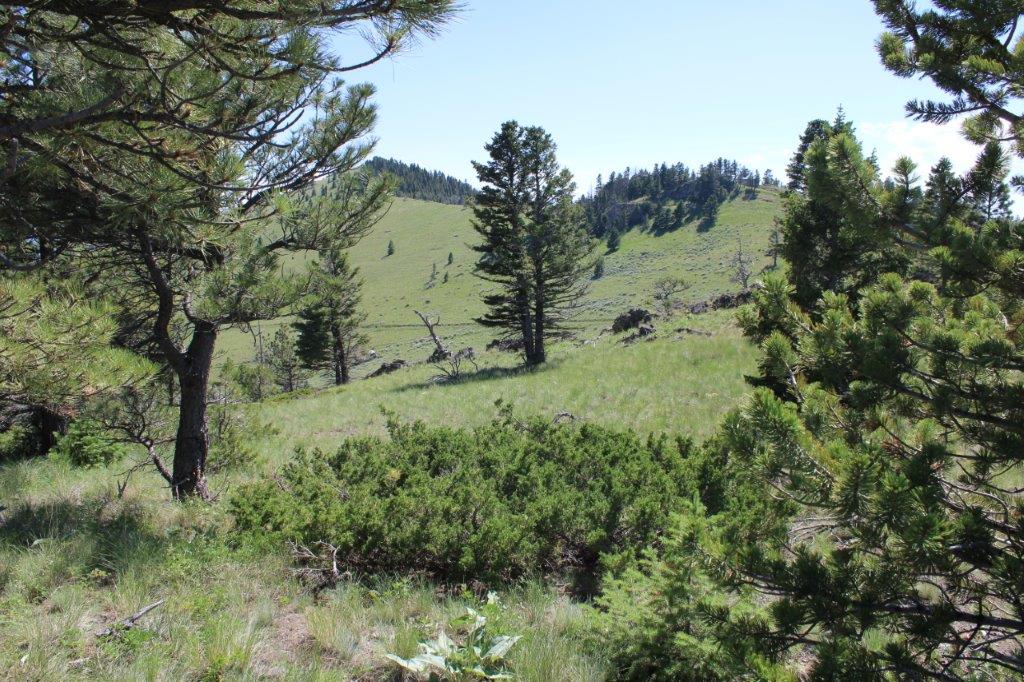 TBD Black Canyon Lane