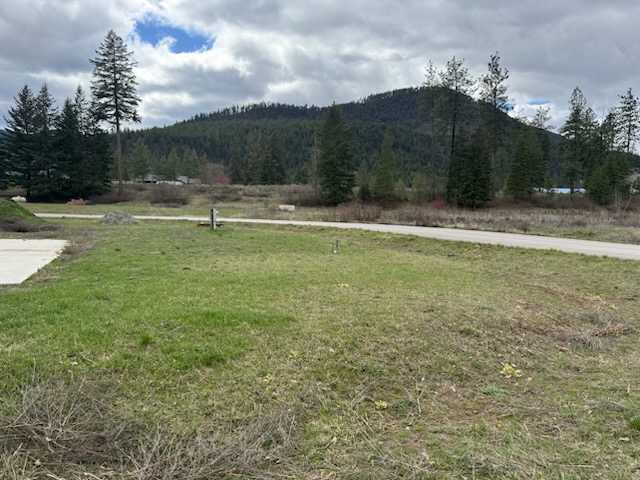 115 Osprey Drive