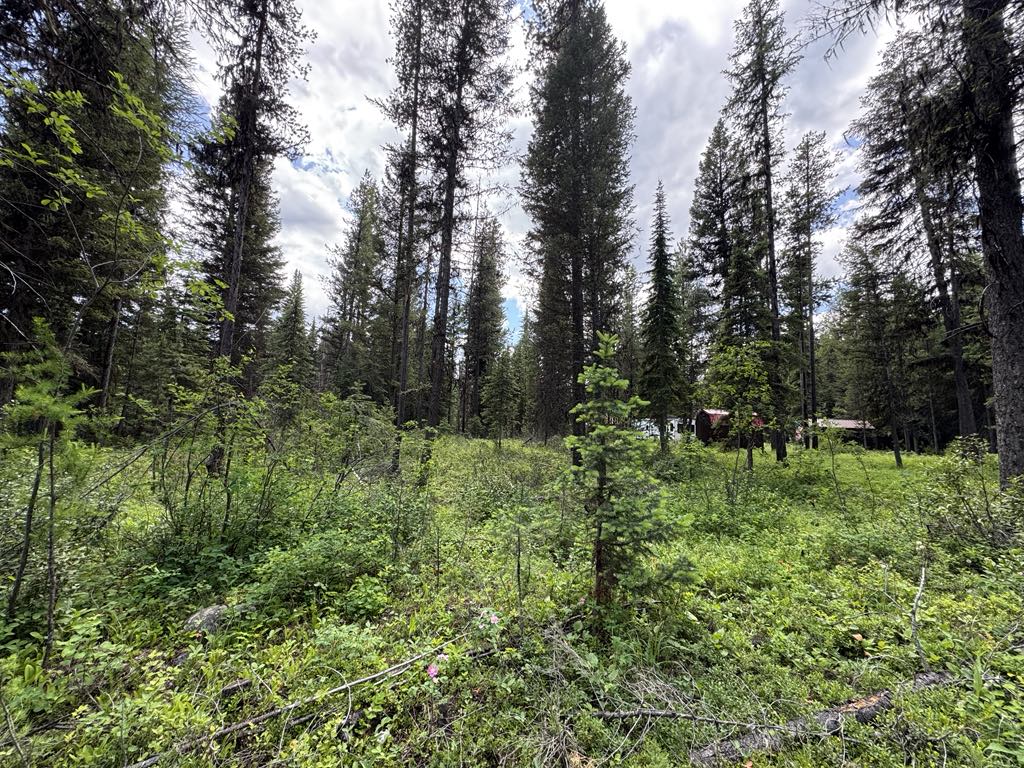 768 Deep Woods Trail