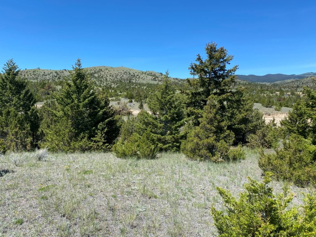 17 Keating Gulch Road