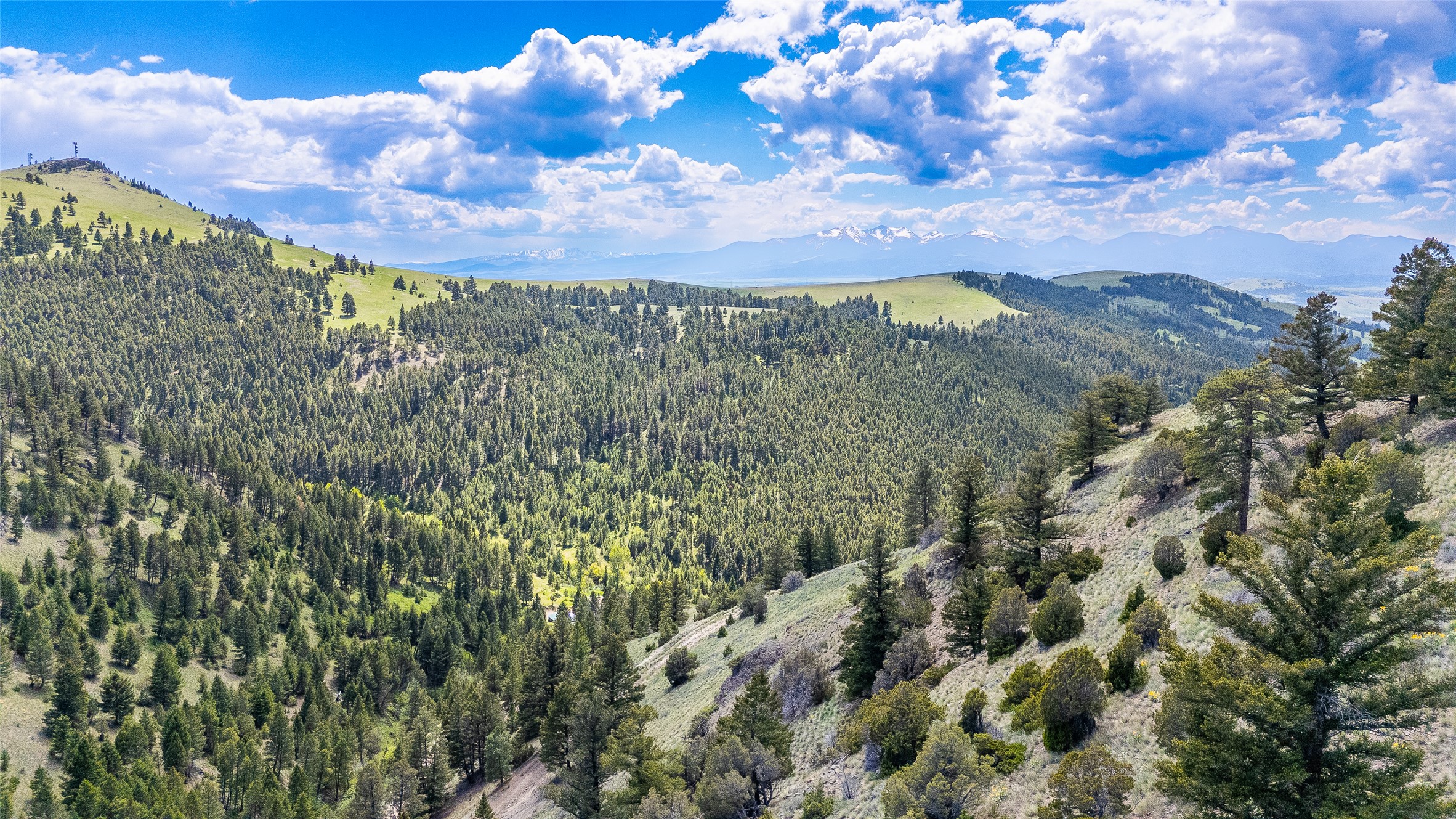 TBD Lot 52 Blackfoot Road