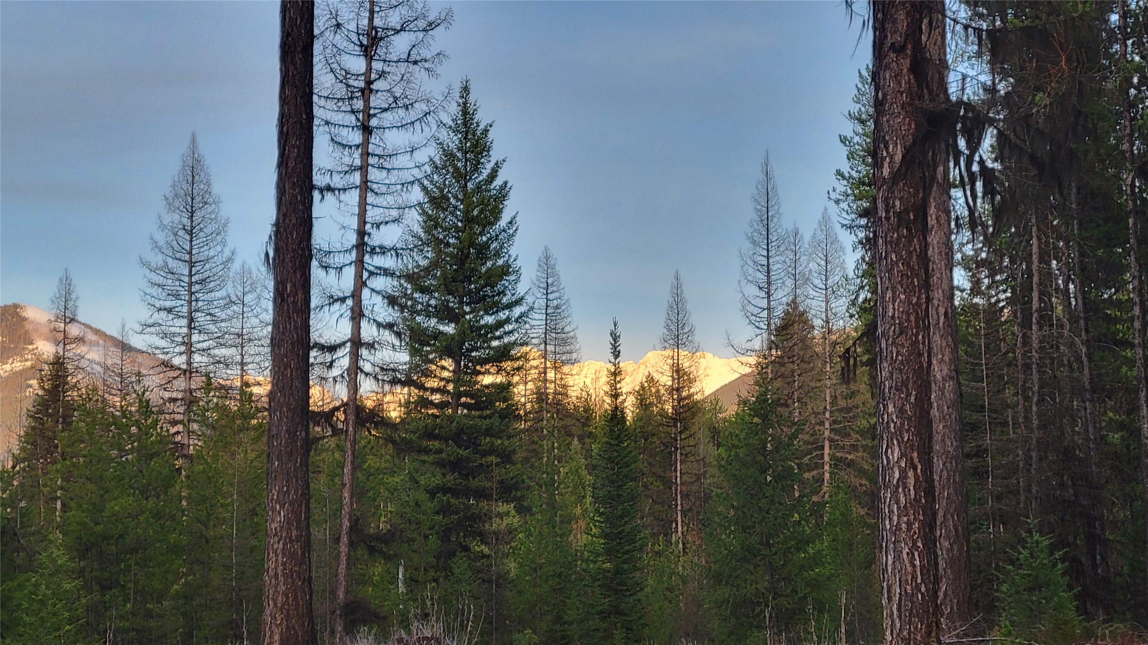 34477 Shay Lake Road
