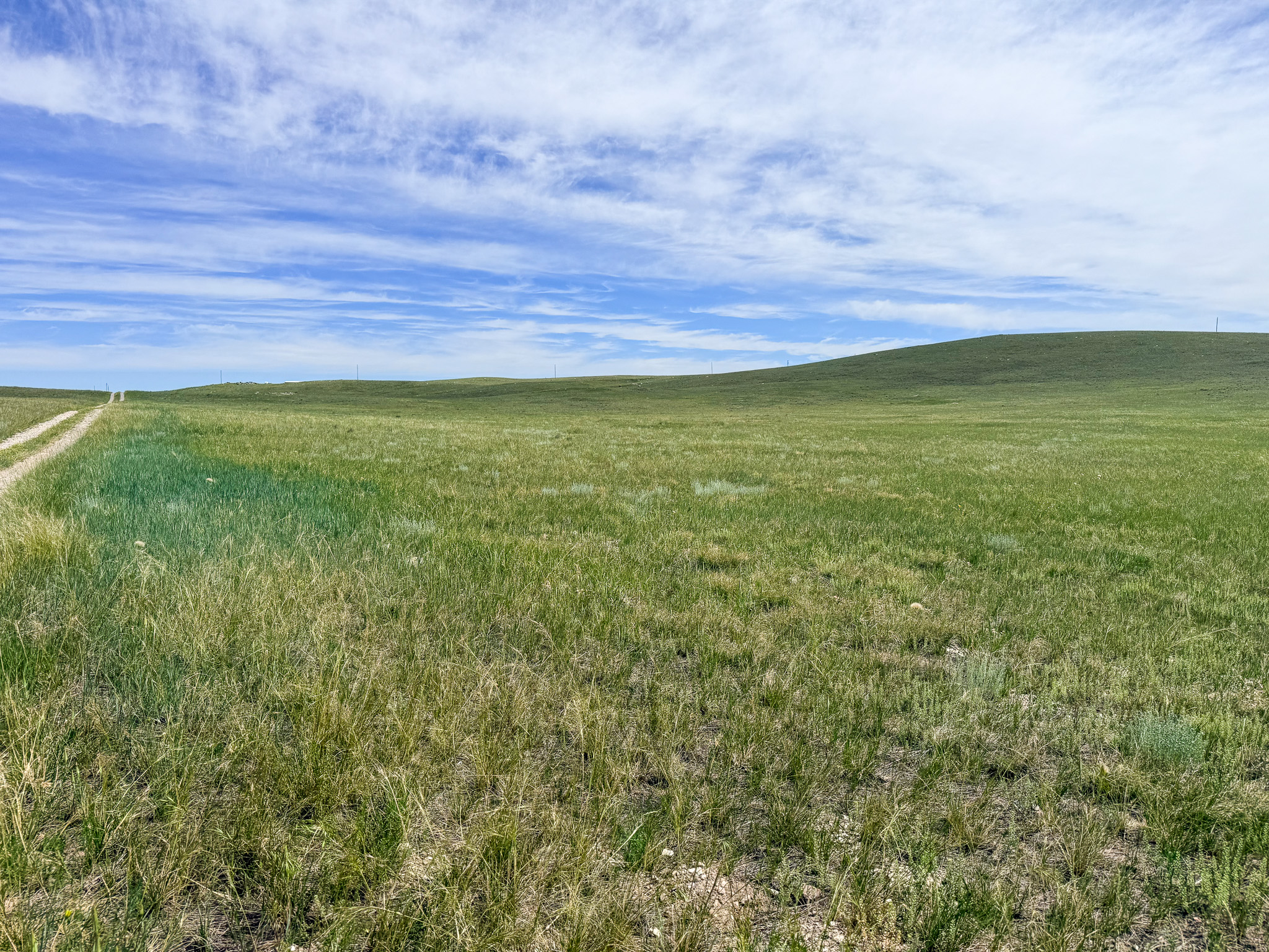 Lot 146 Willow Creek Subdivision