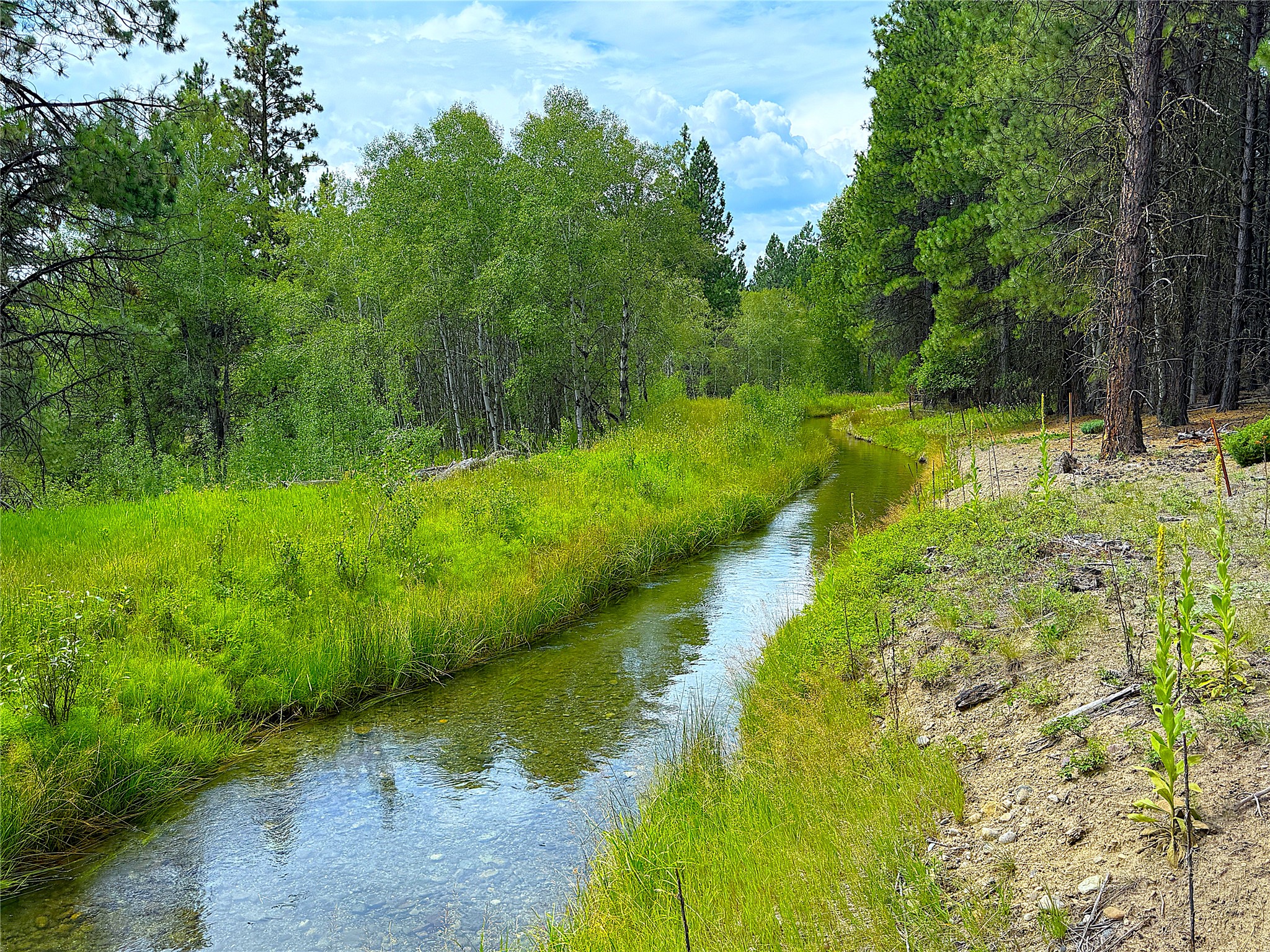 Nhn Pomeroy Trail