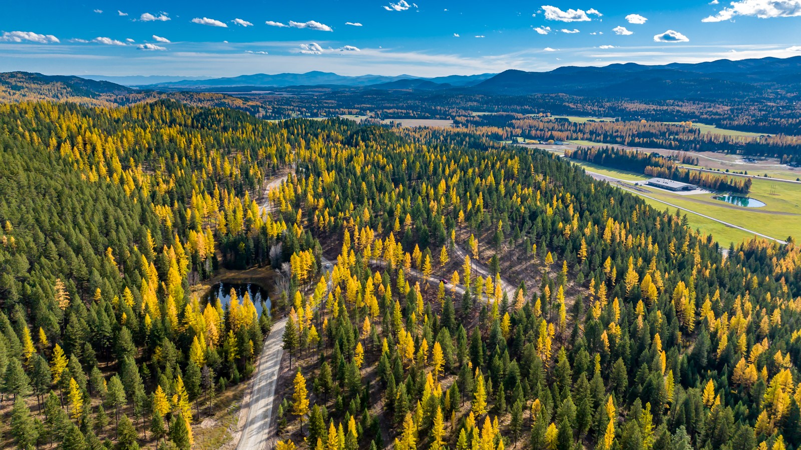 1131 Whitefish Ridge Road
