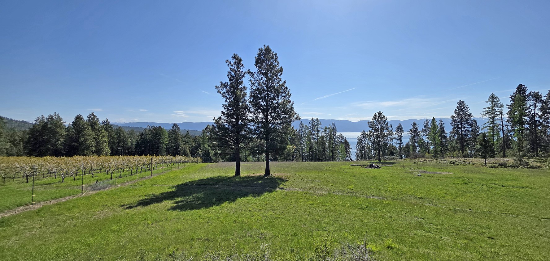 22756 Us Highway 93