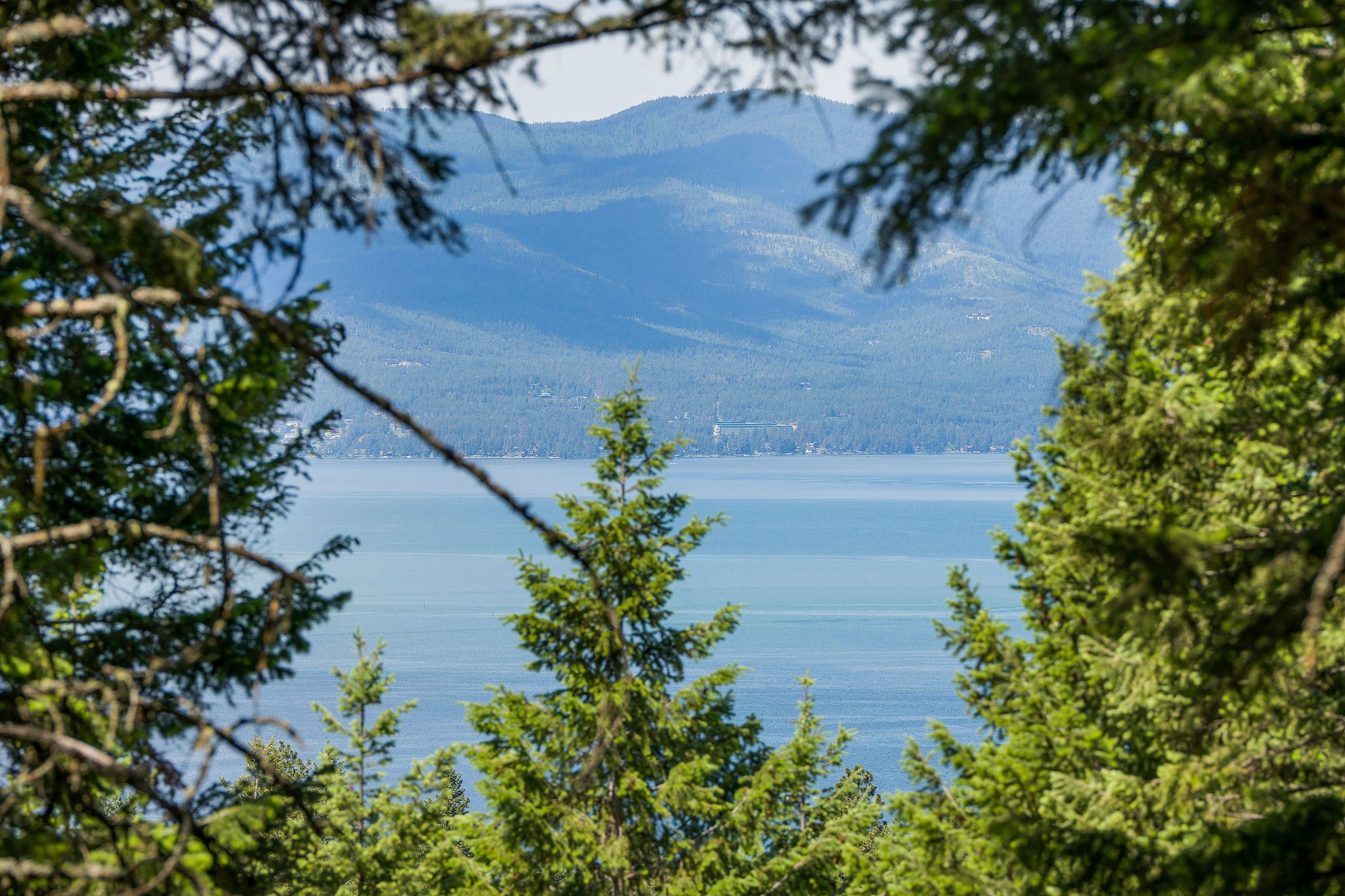 369 Chief Cliff Trail