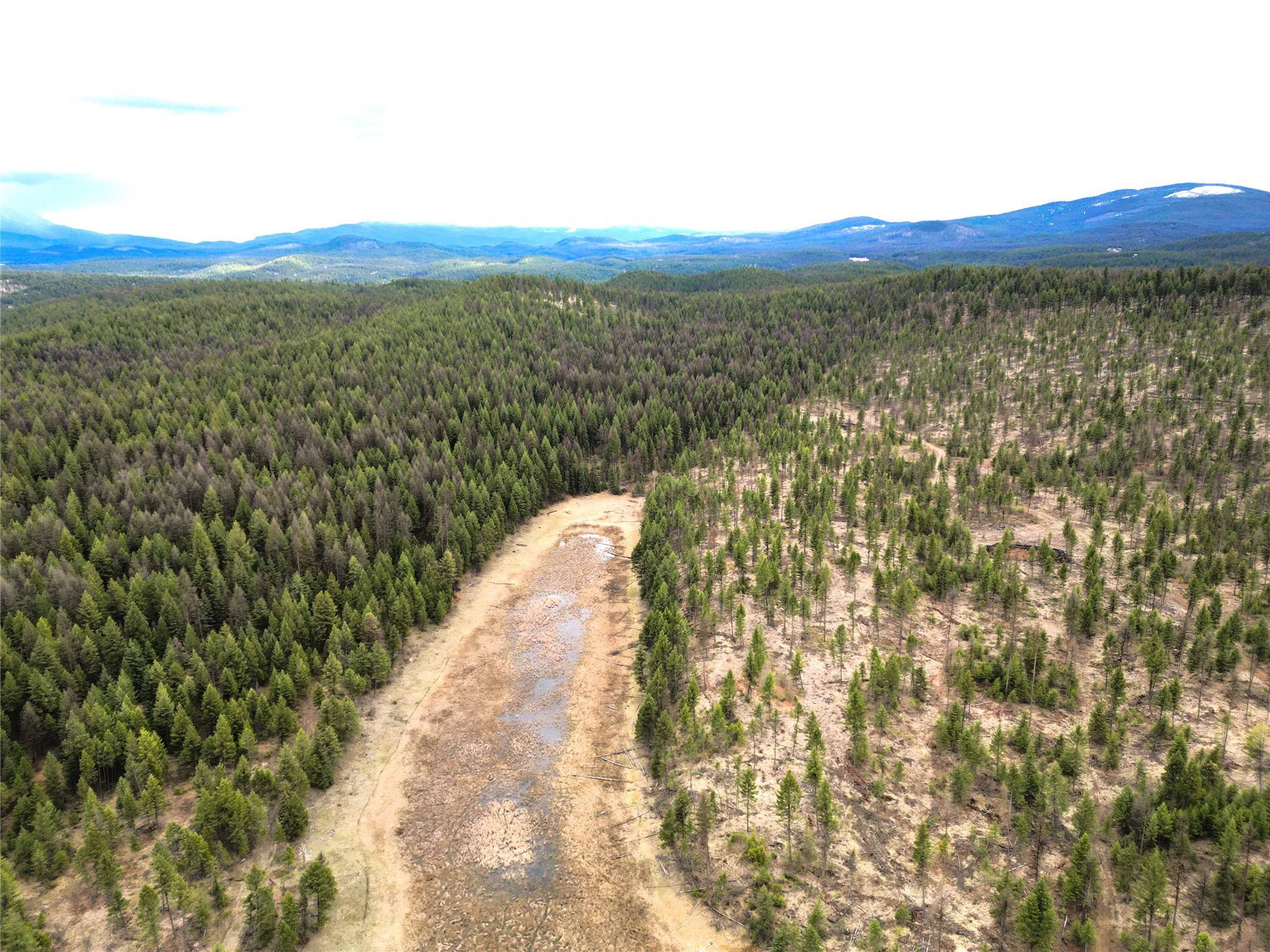 Nhn 120 Acres South
