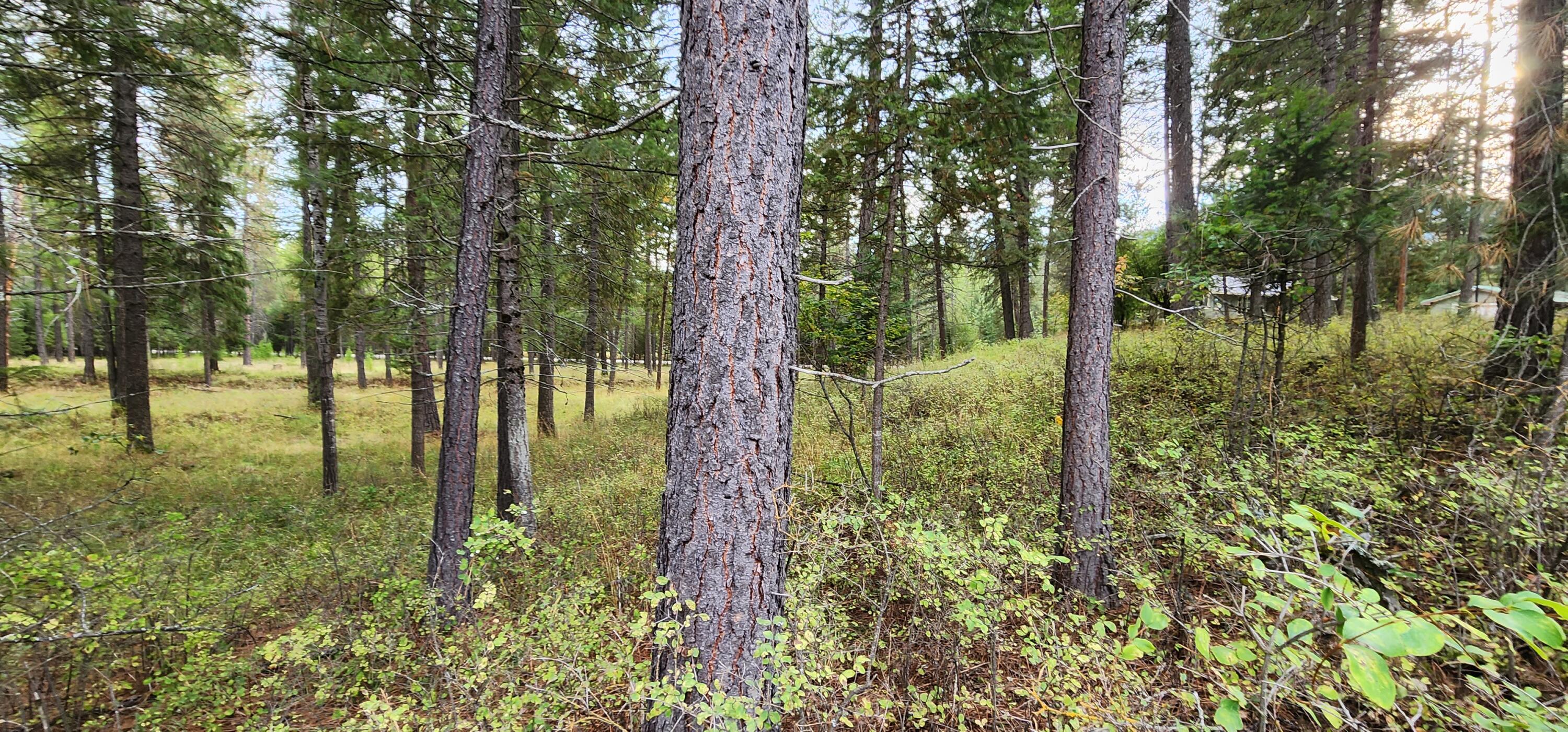 3100 Kootenai River Road