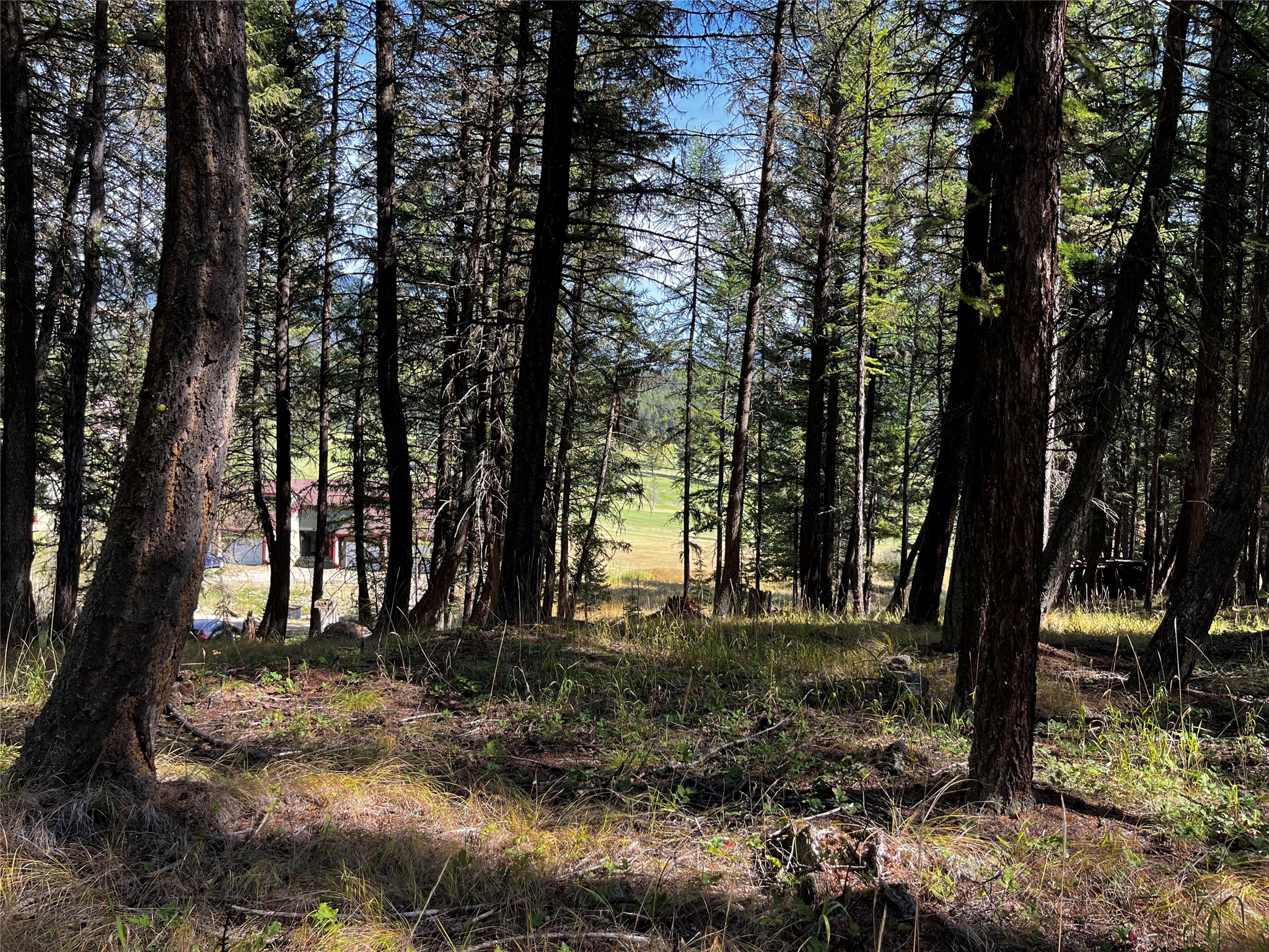 NHN Crystal Lakes Drive