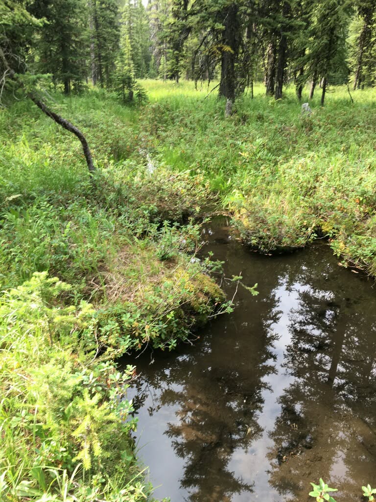 NHN Michael Davitt and the KAN lode Granite mining Road