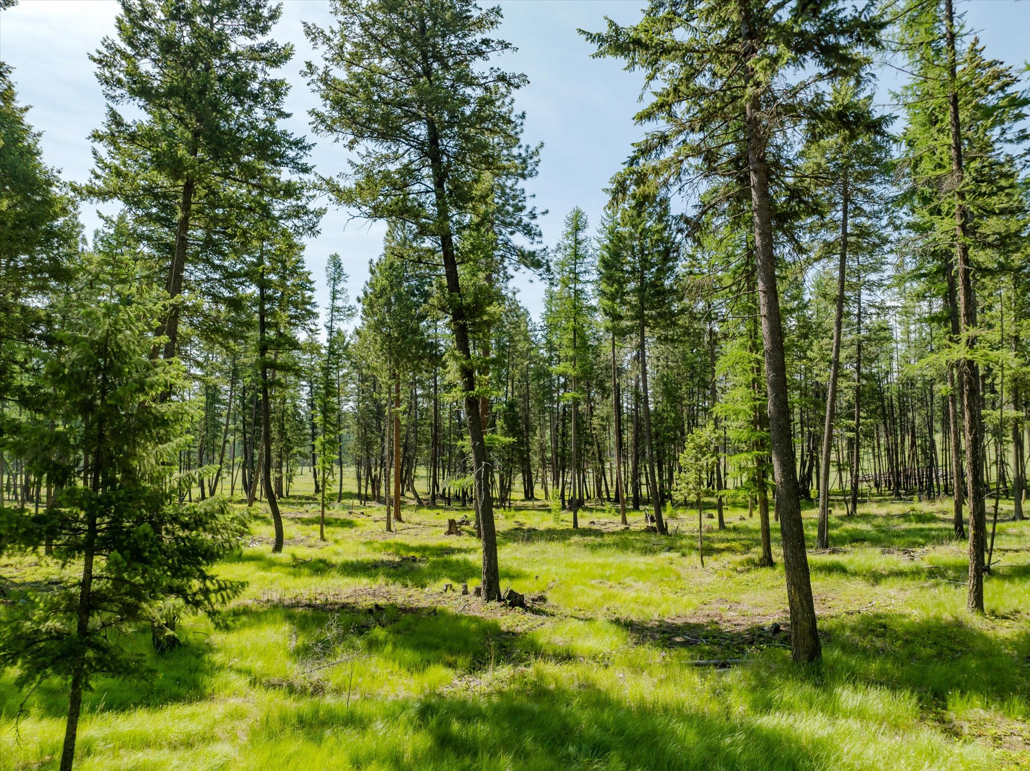 531 Northern Larch Trail Lot 73