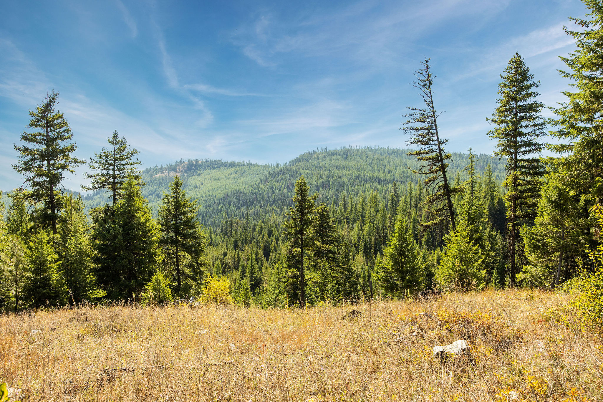 Nhn Whitney Lake Road