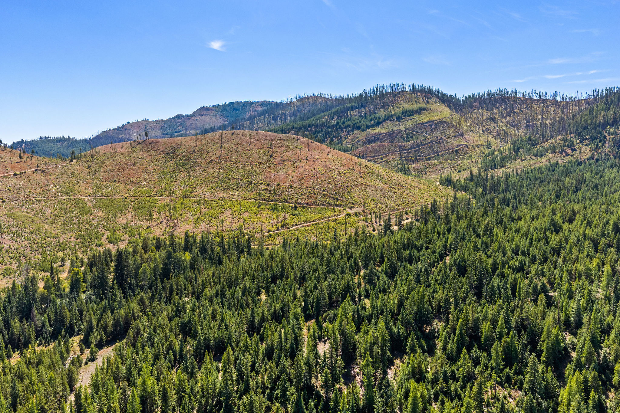 Nhn McGinnis Meadows - Bayhorse Road Section 5