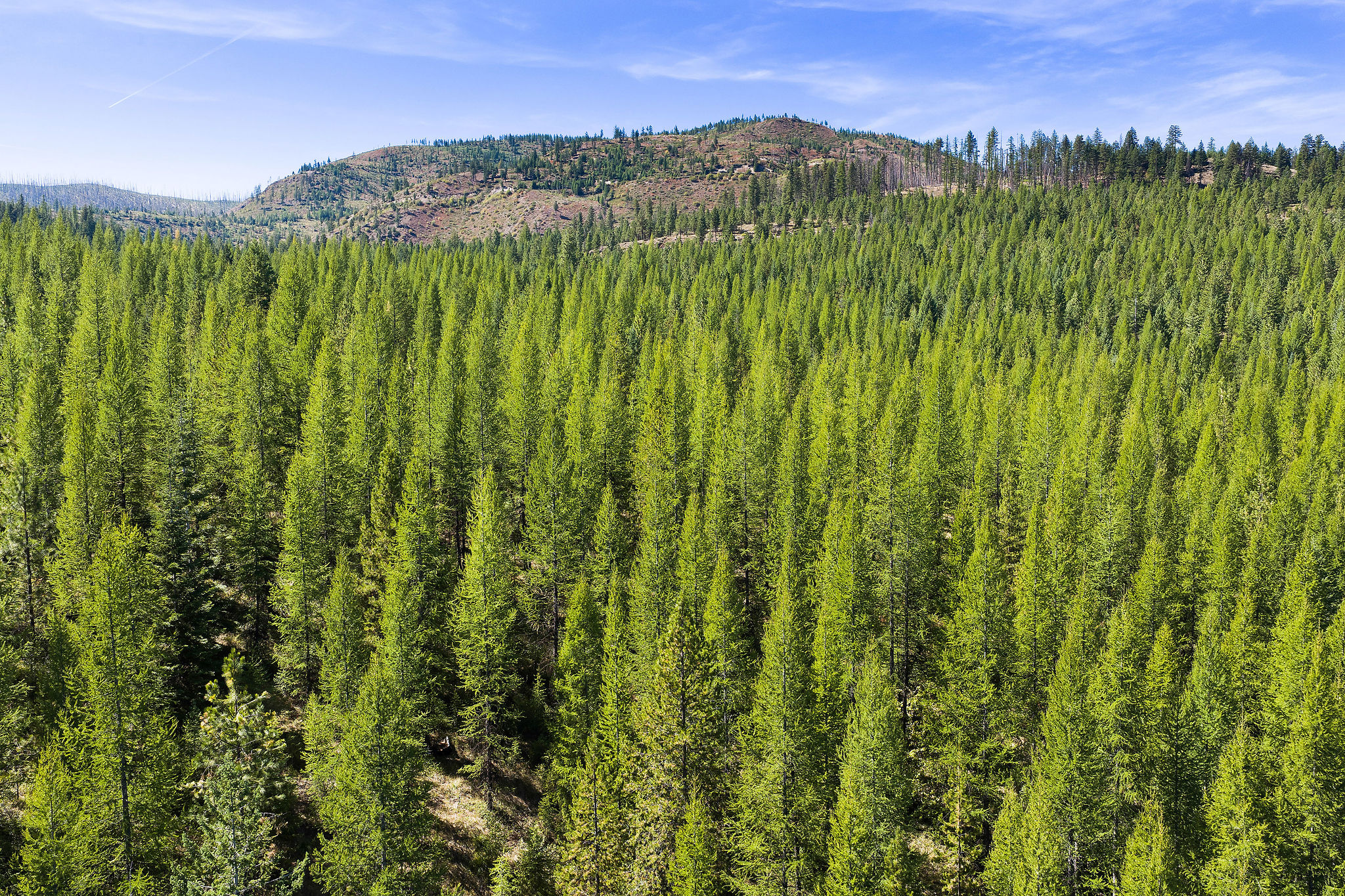 NHN McGinnis Meadows - Fishtrap Road Section 9
