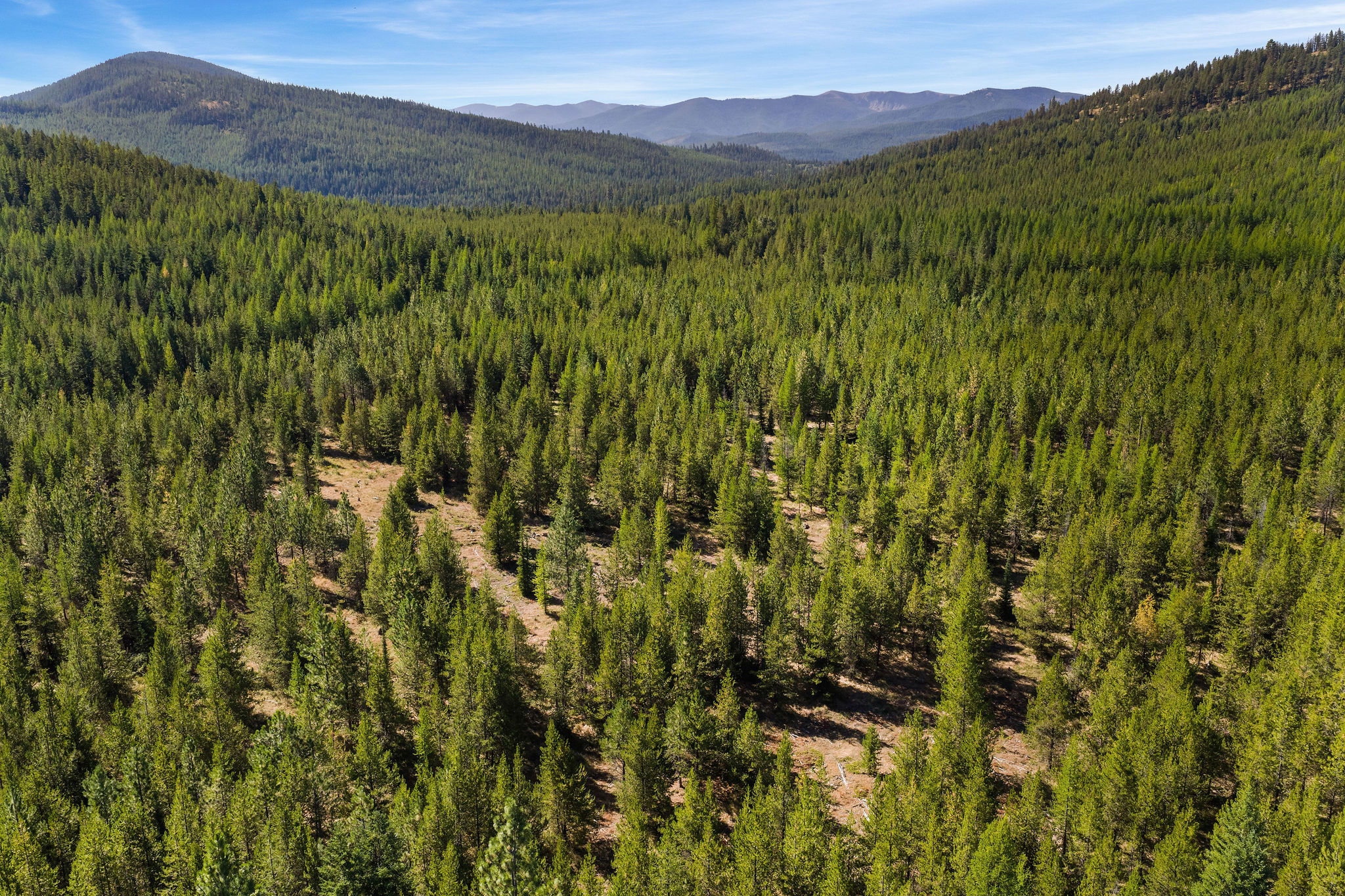 NHN Elk Creek - McGinnis Meadows Road Section 11