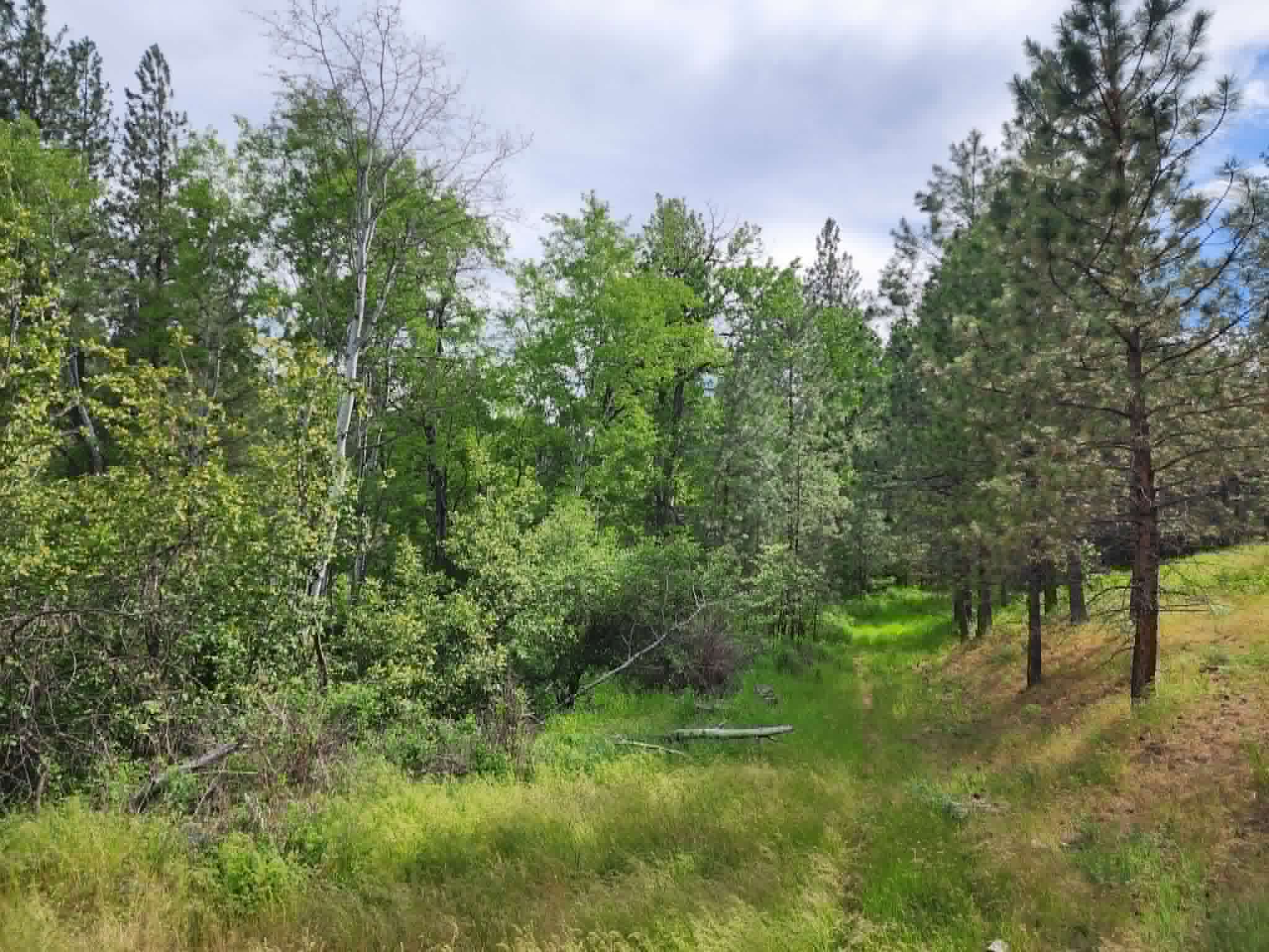 NHN Stobie Lane
