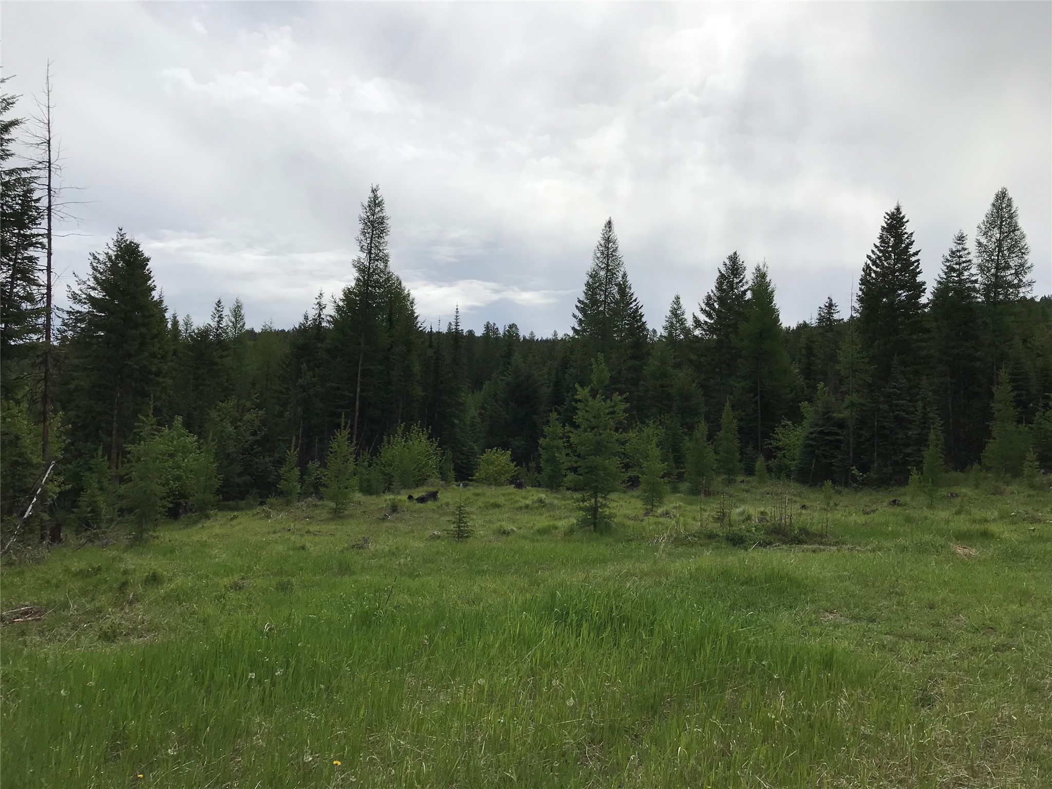 2152 Butcher Creek Road