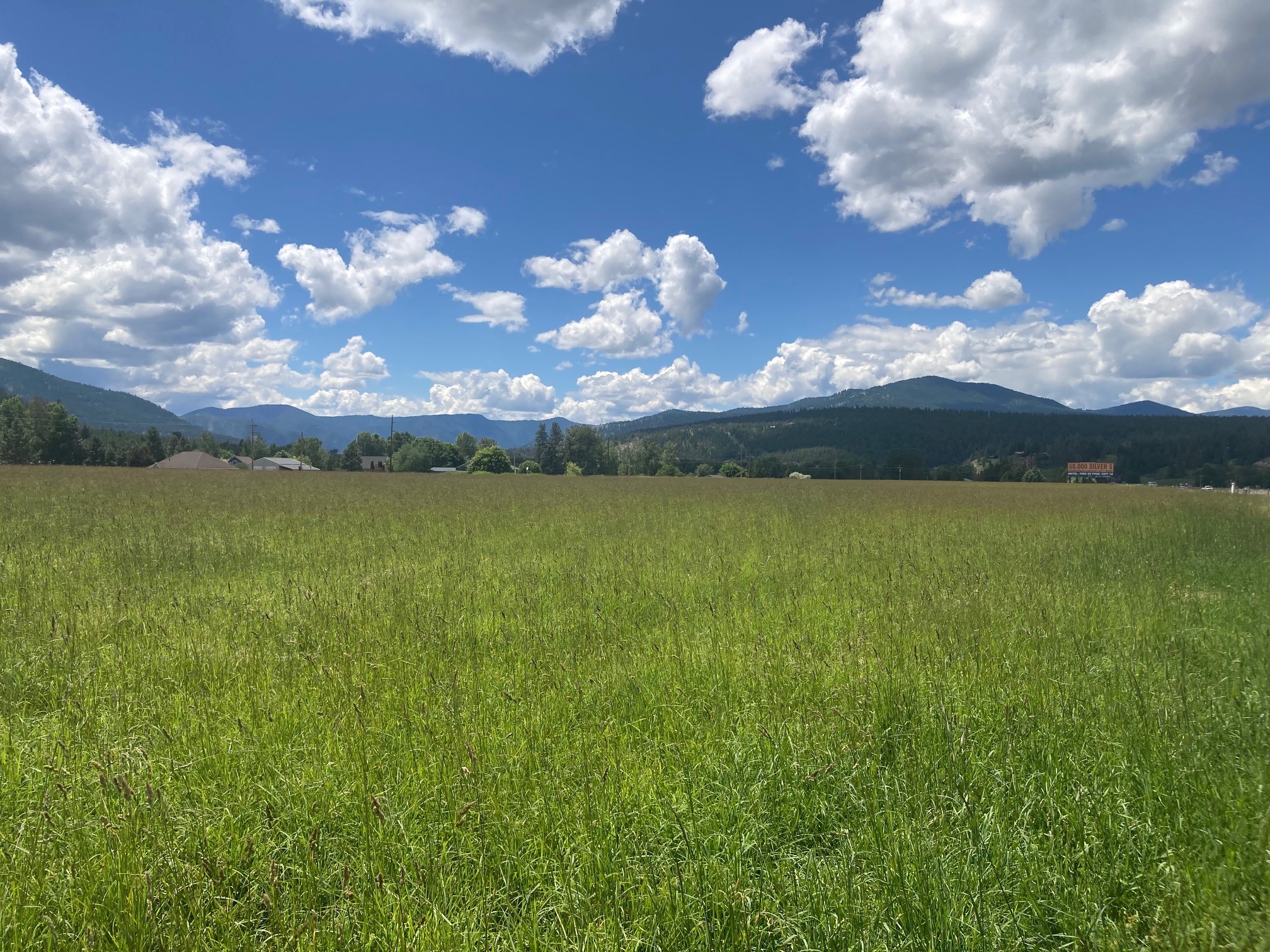 Lot 3 Huson Road