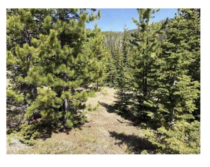 nhn Corral Gulch Road
